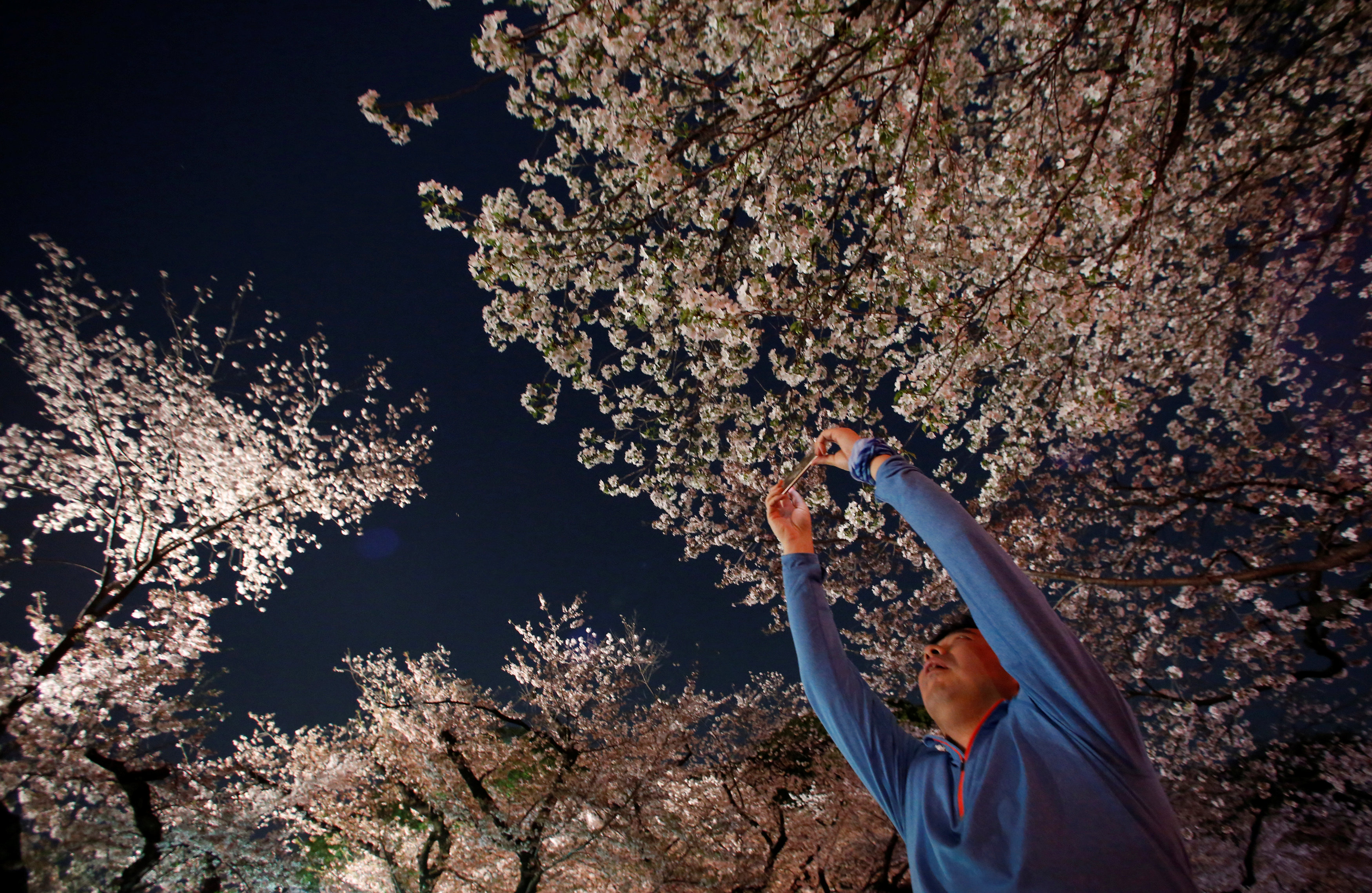 El parque Ueno en Tokio (Reuters/Issei Kato)