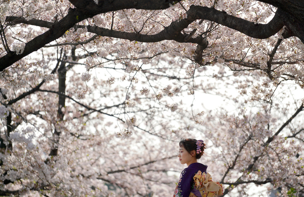 Una joven en un parque de Tokio (AP /Eugene Hoshiko)