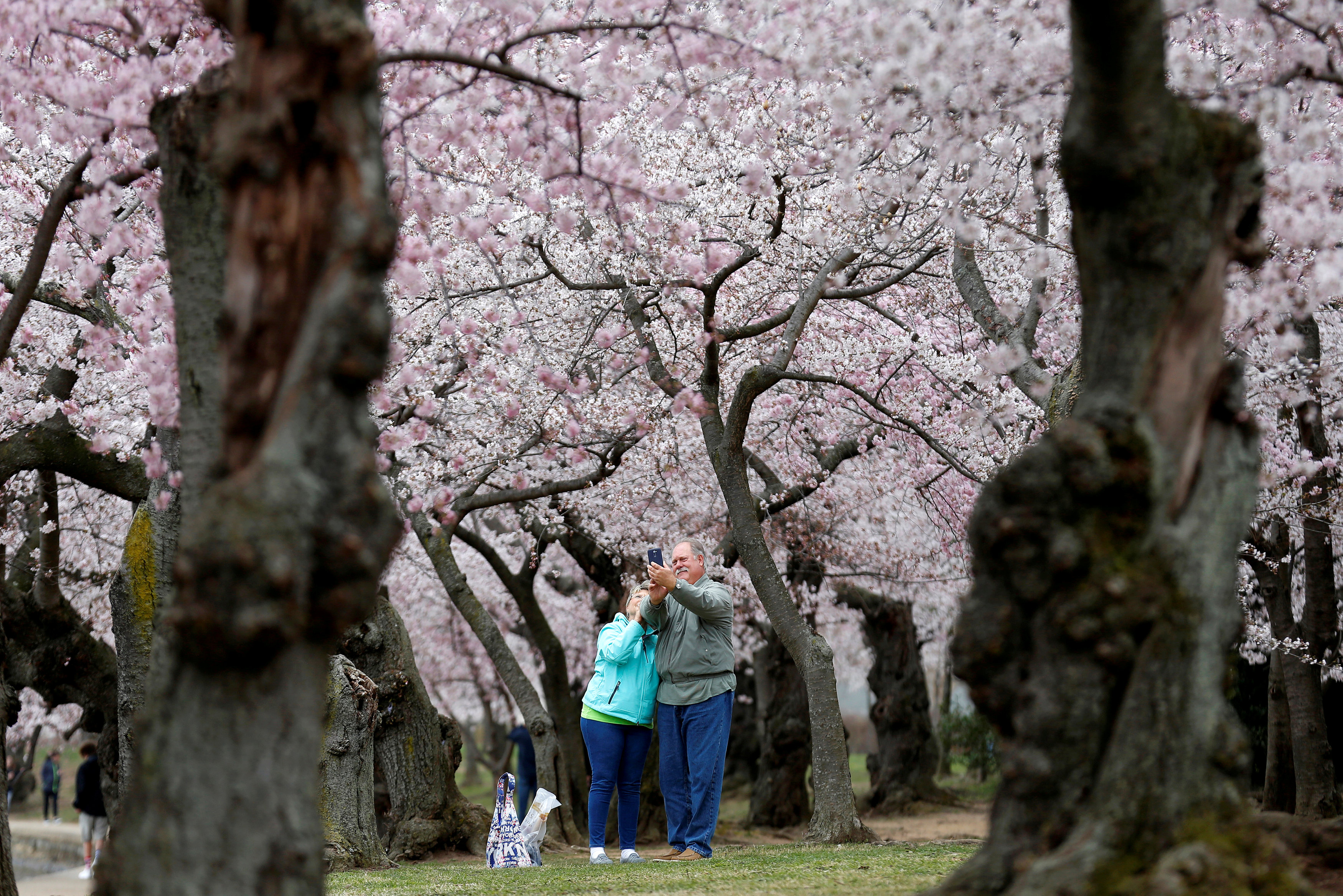 (Reuters/Joshua Roberts)