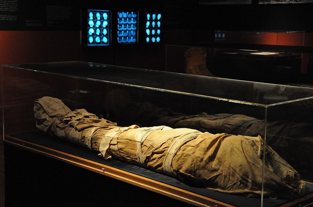 Una momia expuesta en una de las salas del Museo Nicholson (Flickr)
