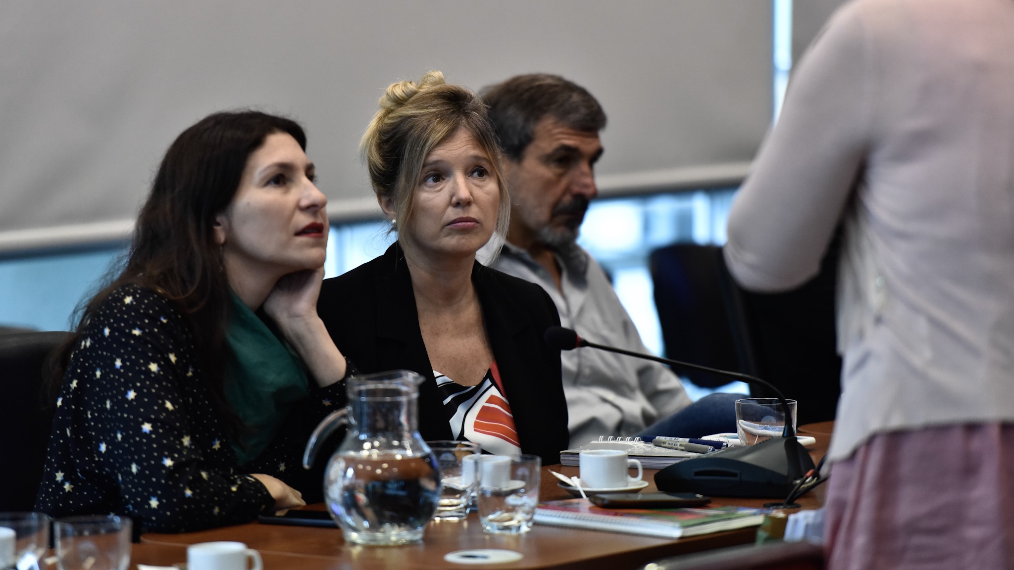La diputada nacional Cristina Álvarez Rodríguez