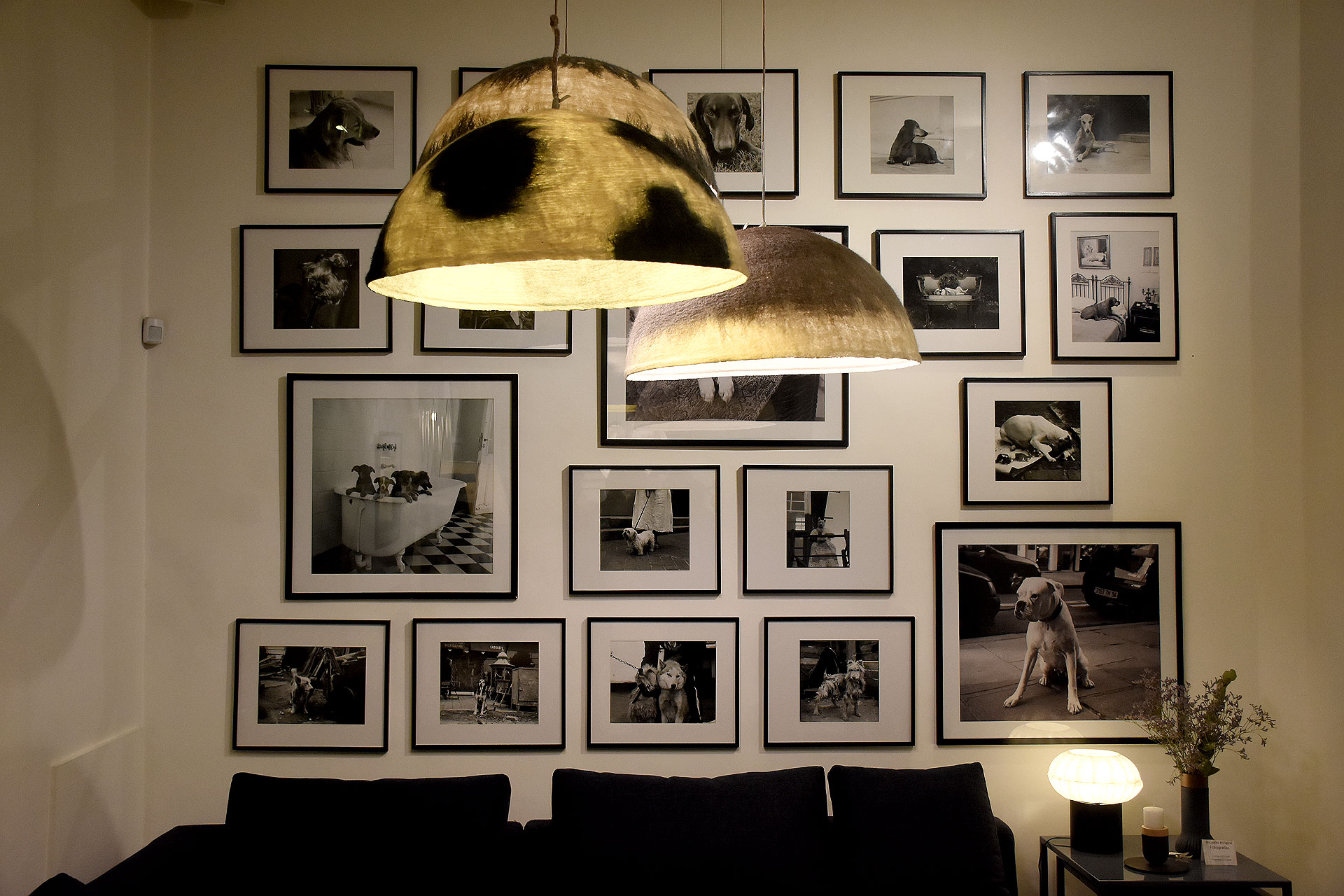 La exhibición es el retrato espontáneo de sus fieles compañeros a lo largo de los años: sus adorados perros