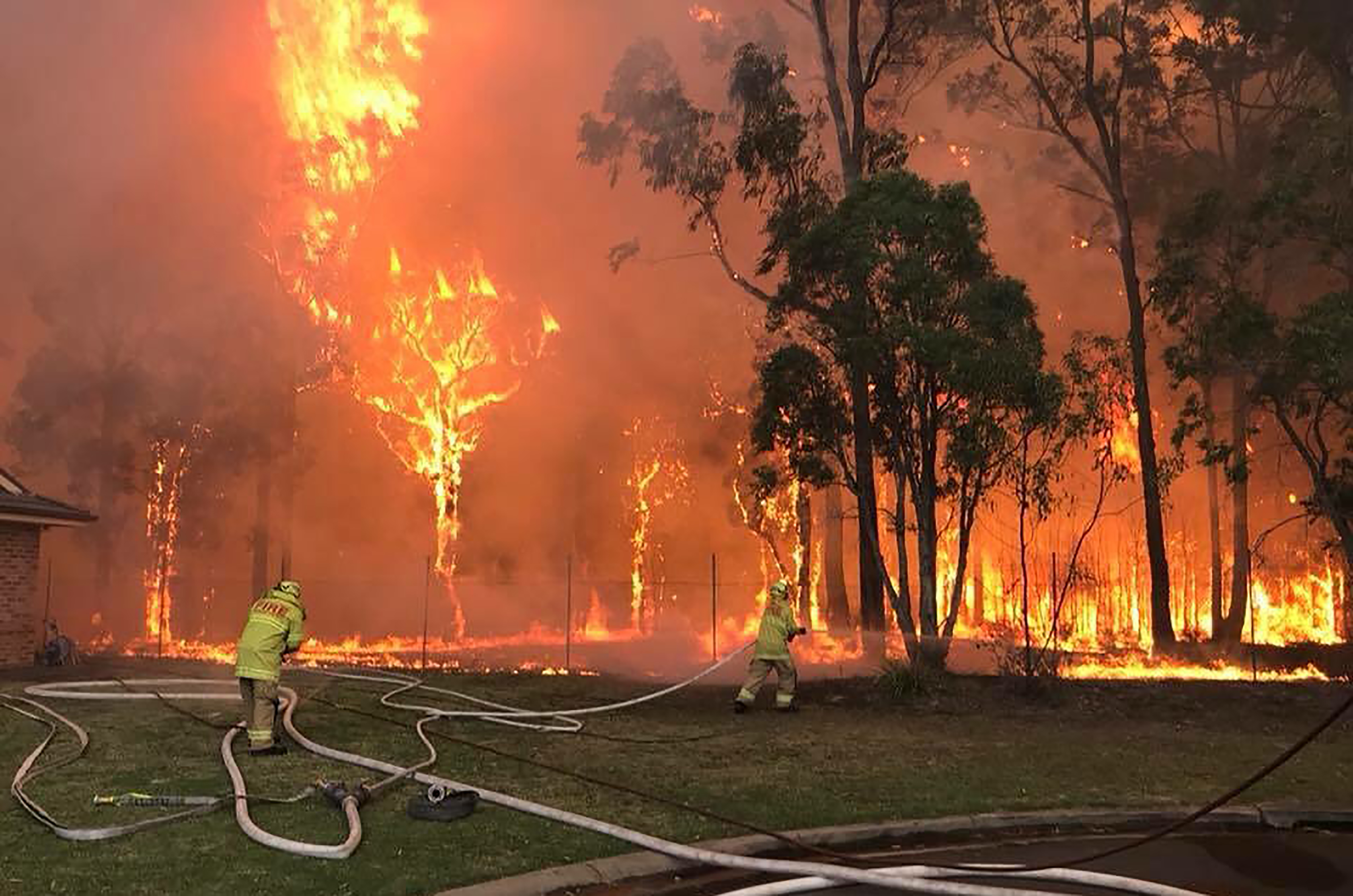 (AFP / Fire & Rescue NSW / FIRE & RESCUE NSW)