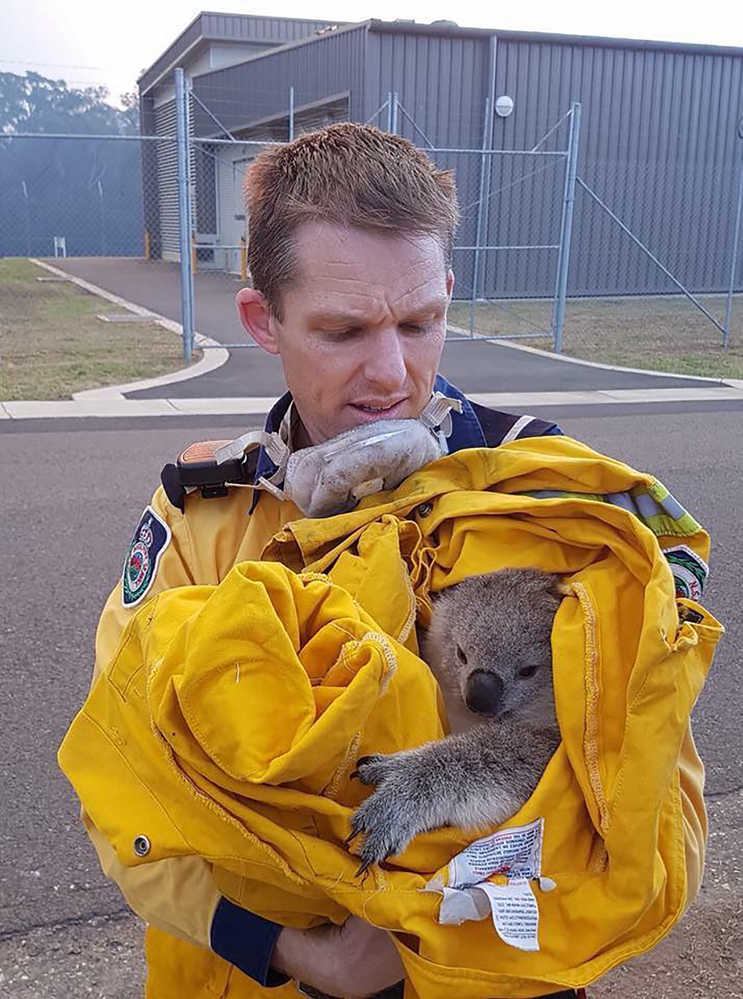 Un bombero con un koala salvado de las llamas en la Liverpool Military Area, una base del ejército cerca de Sídney (AFP Photo / Fire & Rescue NSW / FIRE & RESCUE NSW)