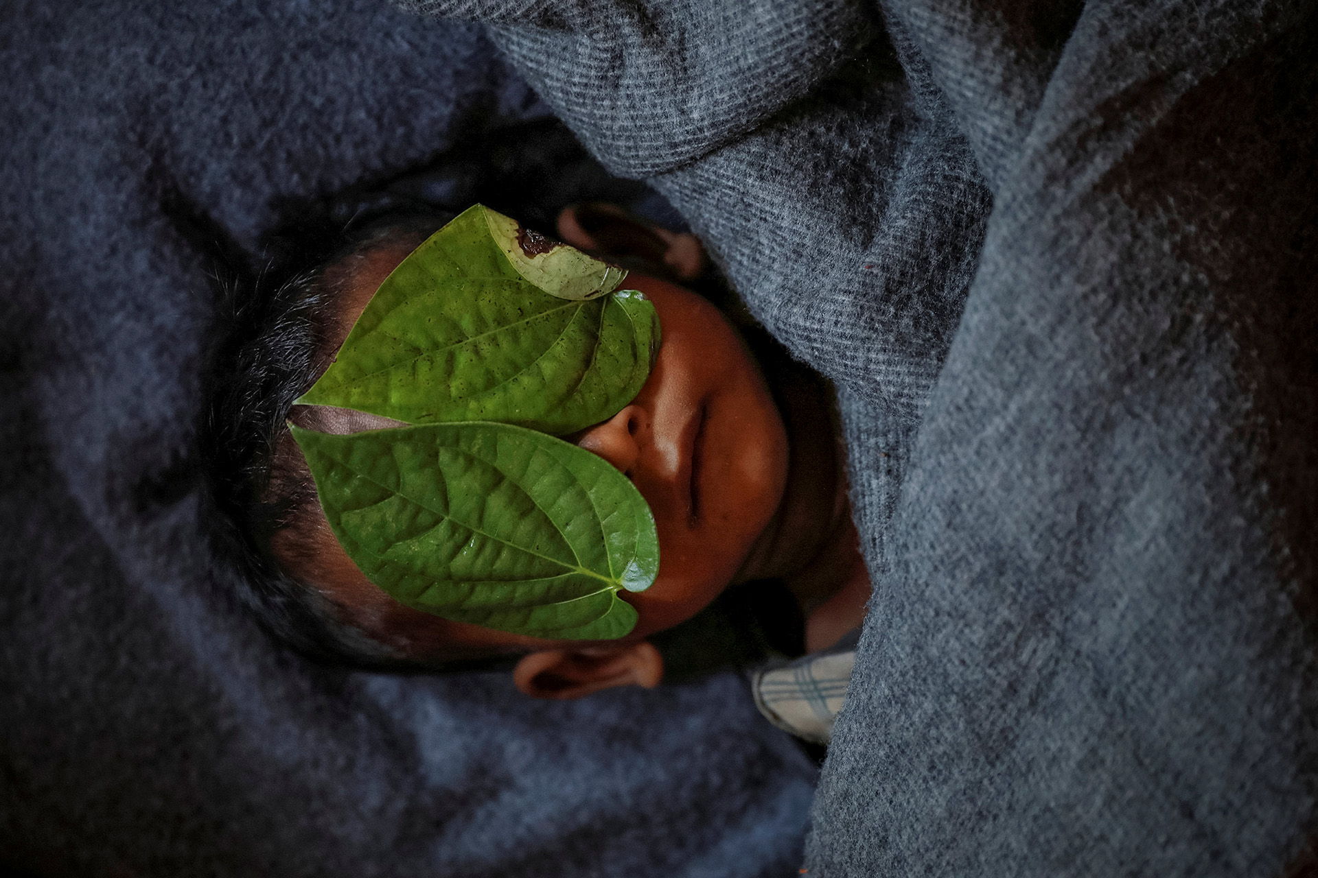 Cubren la cara de Abdul Aziz, refugiado rohingya de 11 meses de edad, cuyo cuerpo envuelto yacía en su refugio familiar después de morir luchando con fiebre alta y tos en el campo de refugiados de Balukhali cerca de Cox’s Bazar, Bangladesh, 4 de diciembre de 2017. ( Damir Sagolj)