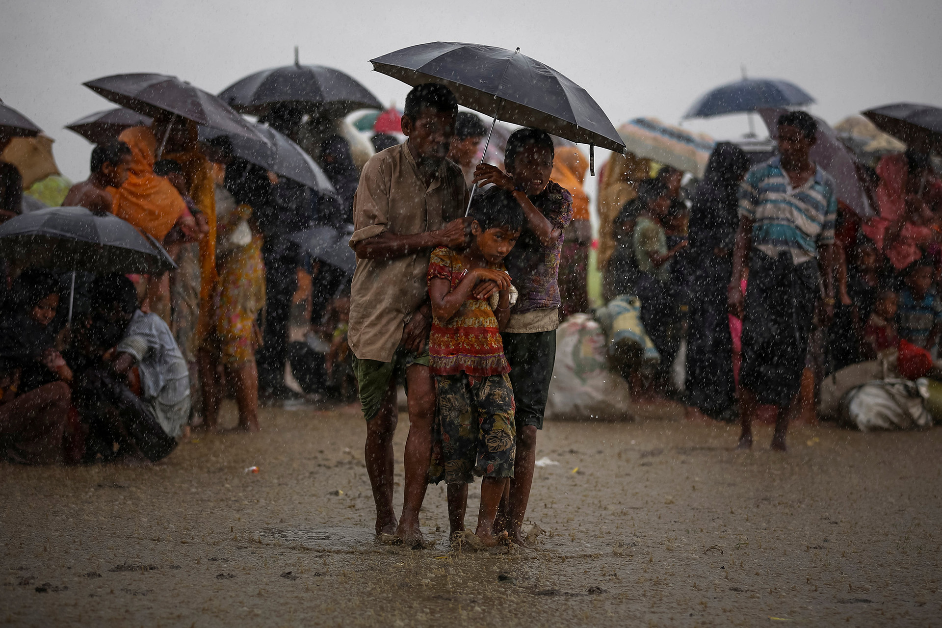 Los refugiados rohingya intentan resguardarse de la lluvia torrencial mientras están en poder de la Guardia Fronteriza de Bangladesh (BGB) después de cruzar ilegalmente la frontera, en Teknaf, Bangladesh, el 31 de agosto de 2017. (Mohammad Ponir Hossain)