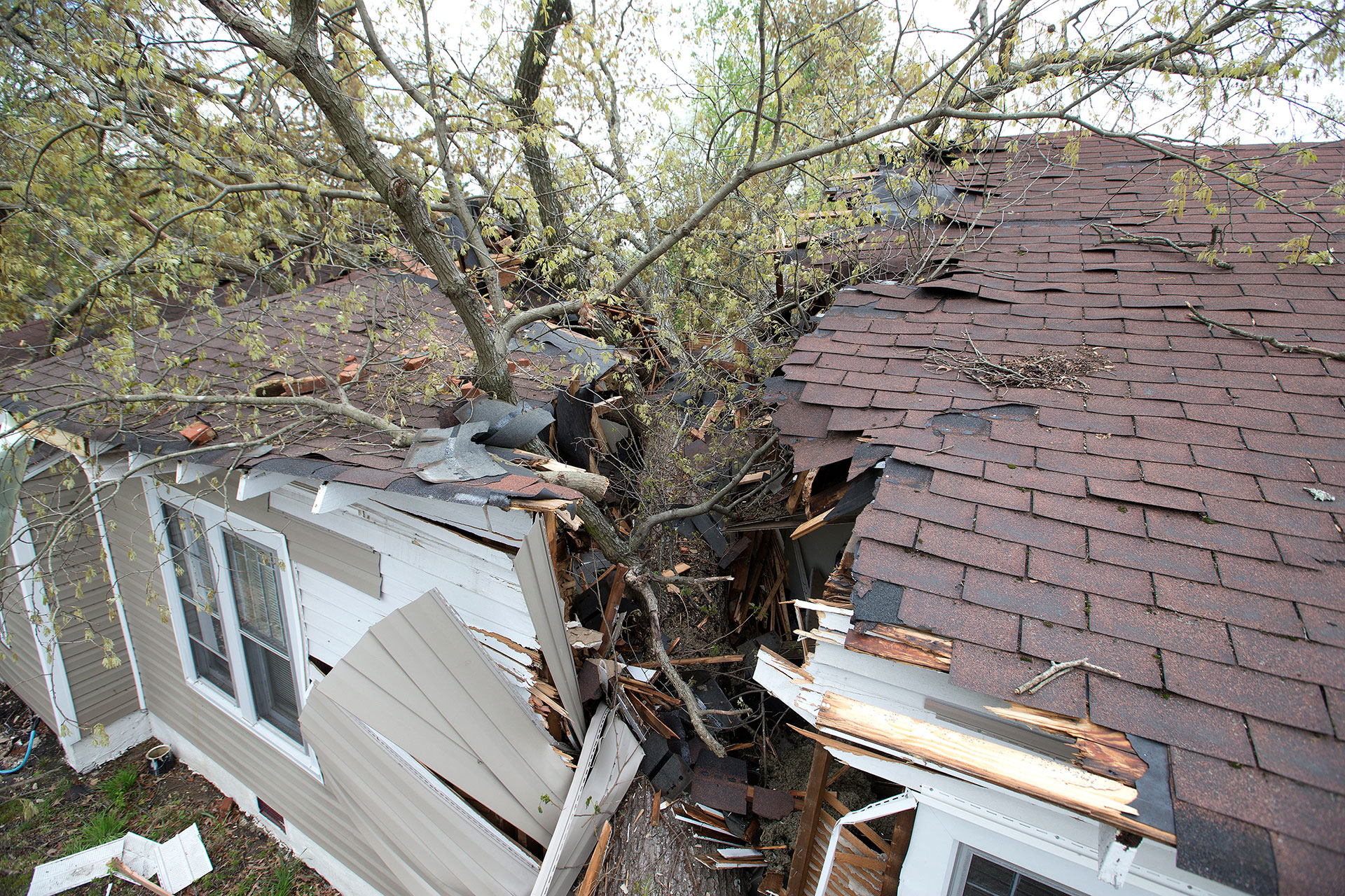 Un árbol cayó sobre una casa en la avenida Oak Grove, en Greensboro, y provocó la muerte de una persona
