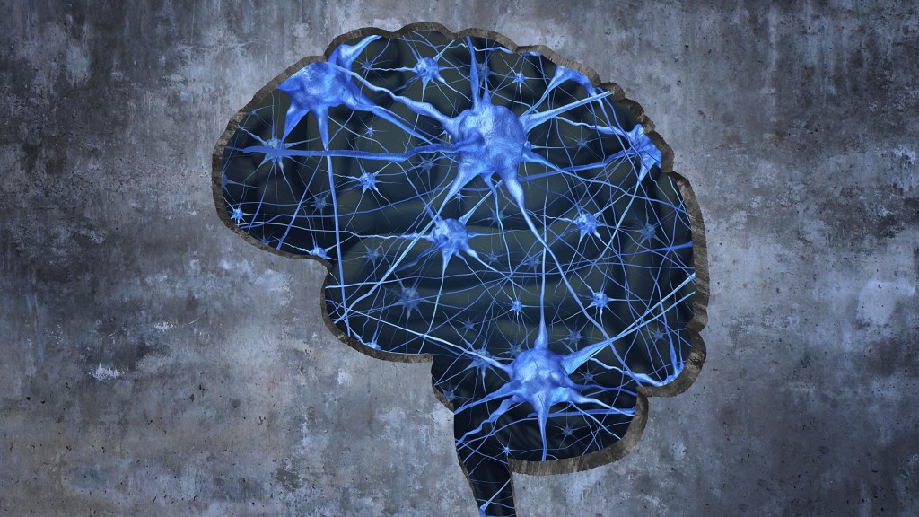 La corteza parietal posterior del cerebro es el factor clave, según investigadores (Getty)