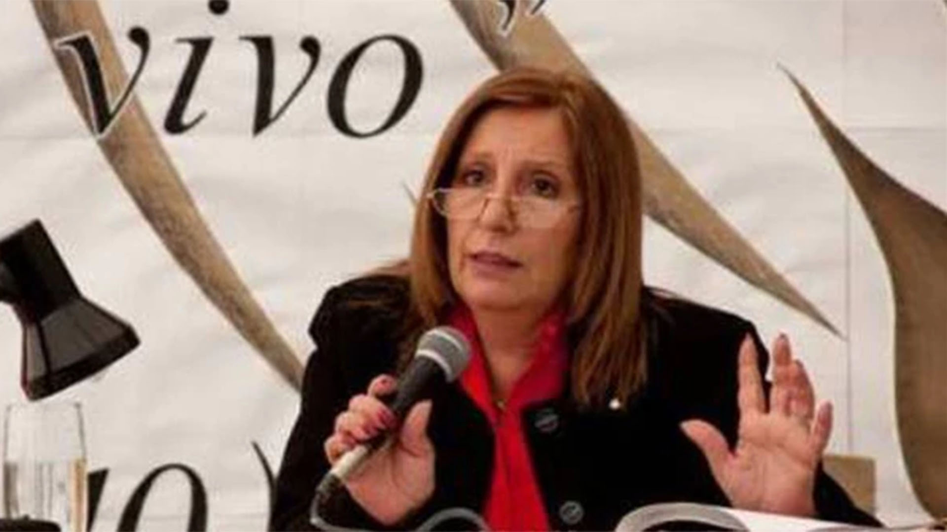 Mónica del Río: su pedido de informes al Ministerio permite concluir que el aborto clandestino no es la principal causa de muerte materna en la Argentina