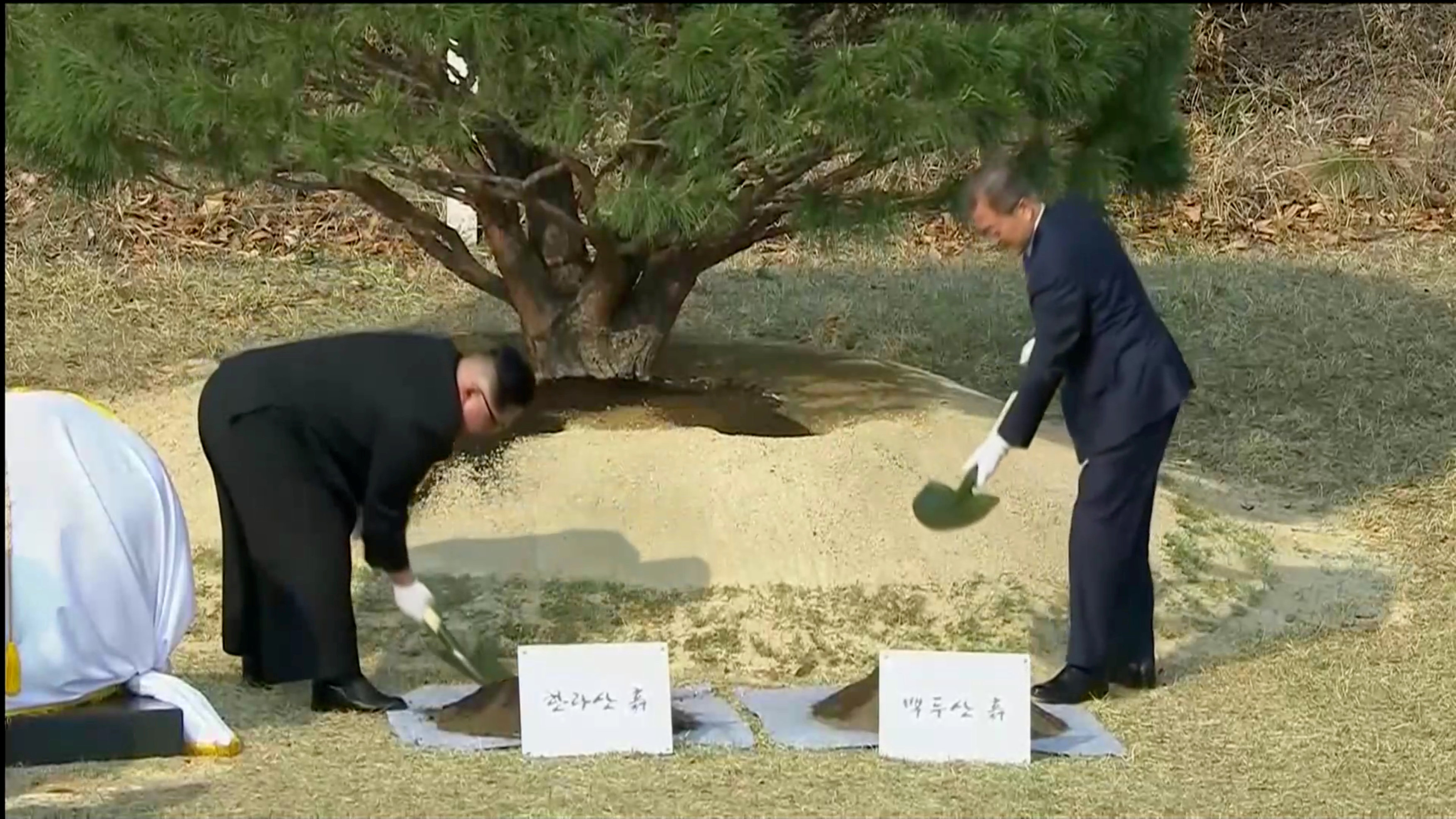 Momento en el los dos líderes realizan una ceremonia de plantar un árbol.