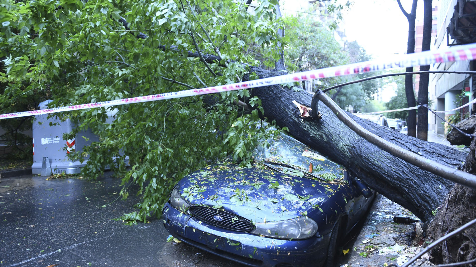 Árbol caído luego del temporal en Muñiz al 800 en Capital Federal