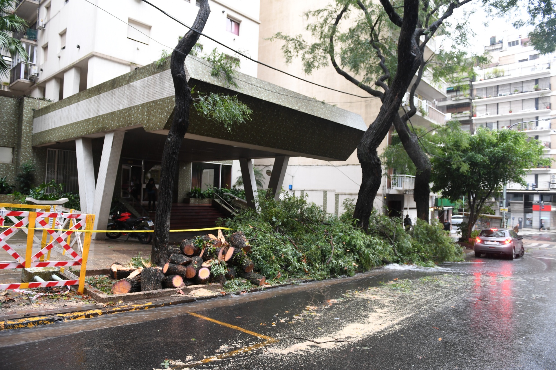 Gran cantidad de árboles cayeron en Capital Federal, anegando varias calles porteñas