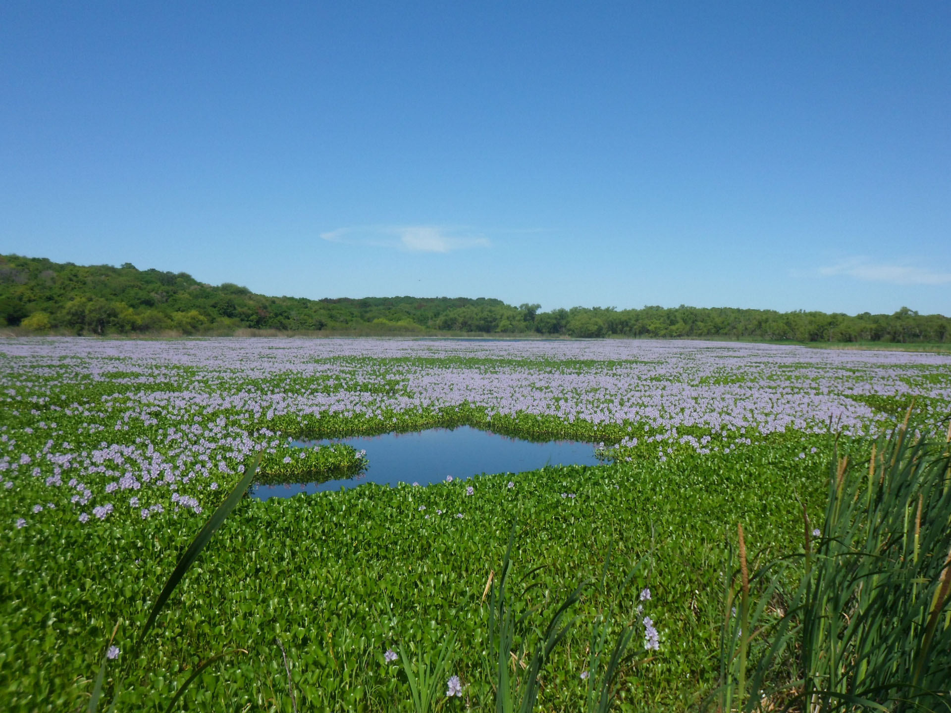 Parque Nacional Pre-Delta, Entre Ríos