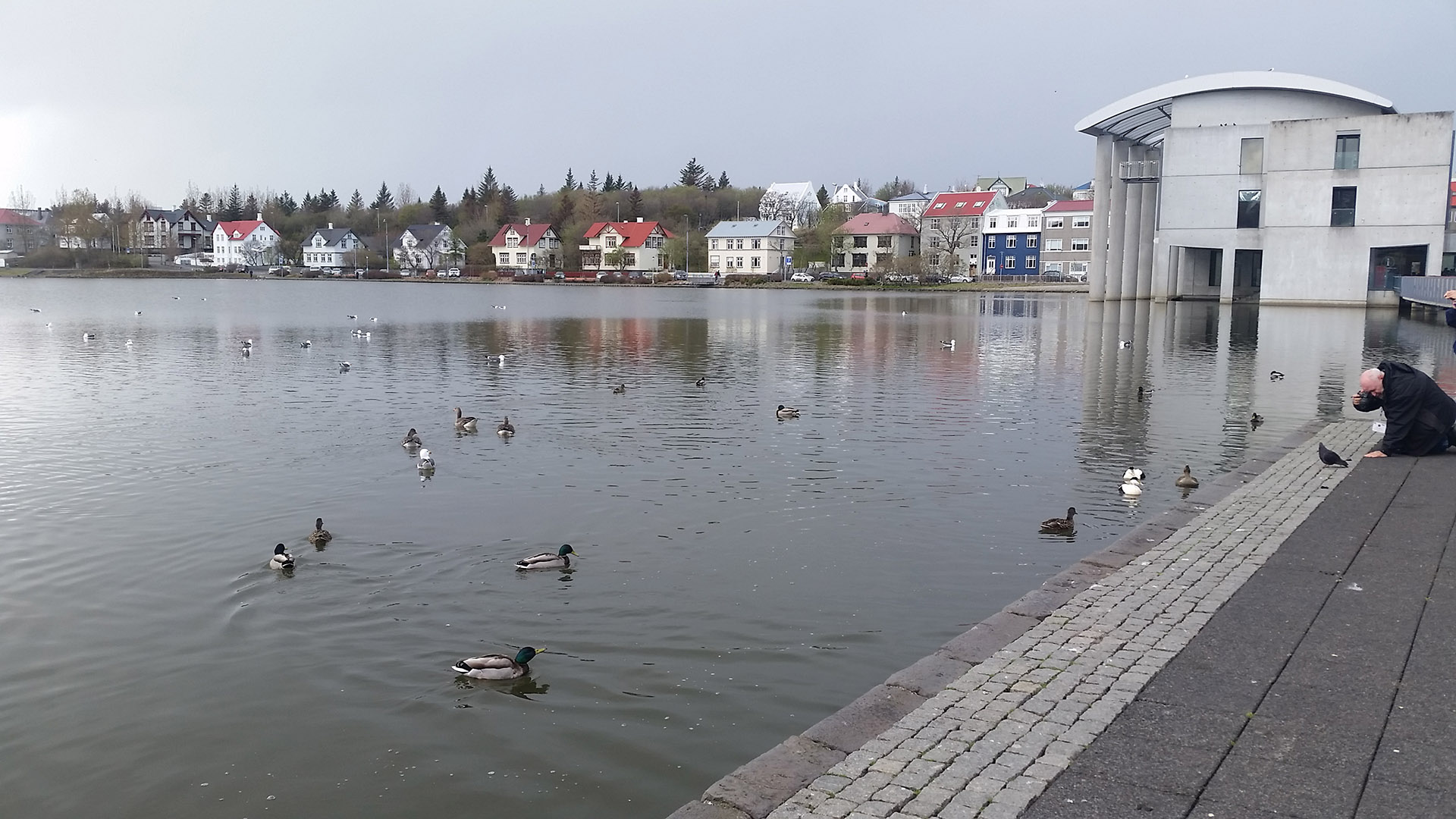Tjörnin, un enorme lago en pleno centro. A un costado, el ayuntamiento