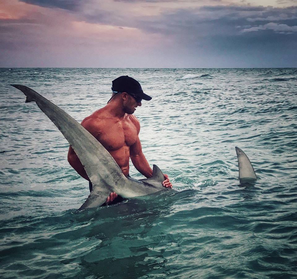 Elliot Sudal devolviendo a su hábitat al majestuoso tiburón martillo que pescó para colocarle un chip de rastreo (Elliot Sudal)