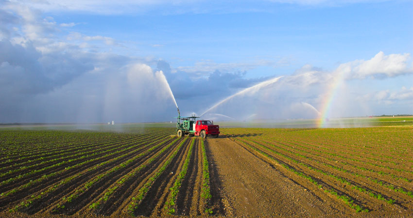 Optimum Agriculture gestiona propiedades en los Estados Unidos y América Latina