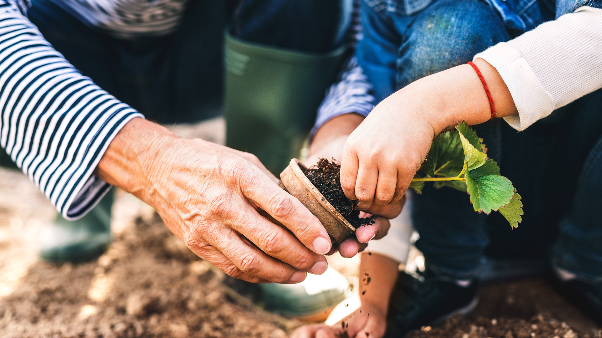 La propuesta de actividades por parte de ambas generaciones contribuirá a tener un mayor vinculo (Getty Images)