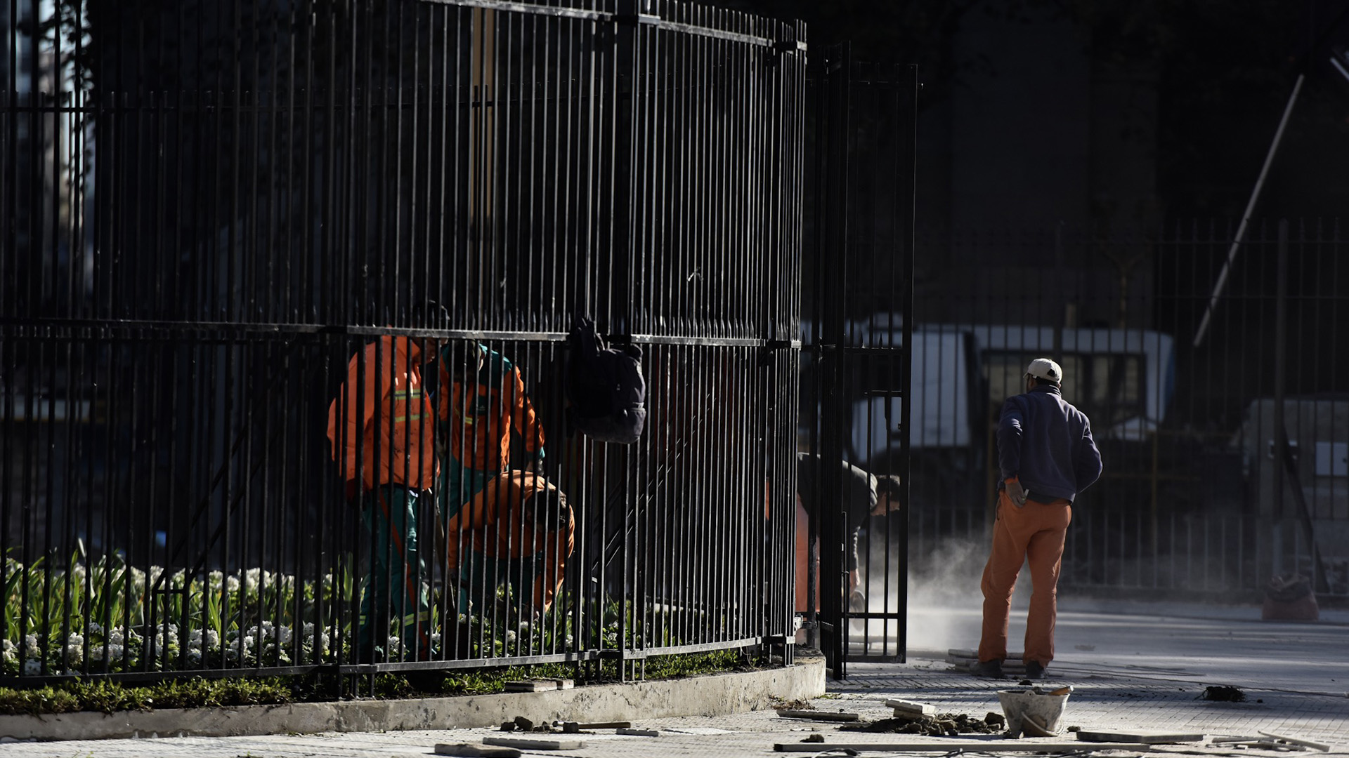 Se plantaron nuevas hileras de árboles, arbustos y plantas