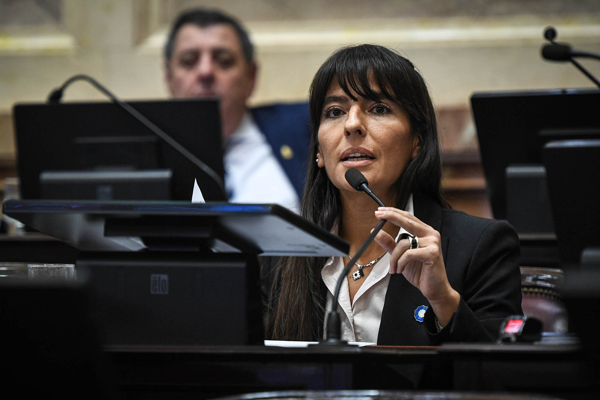 La senadora por Mendoza, Fernanda Verasay