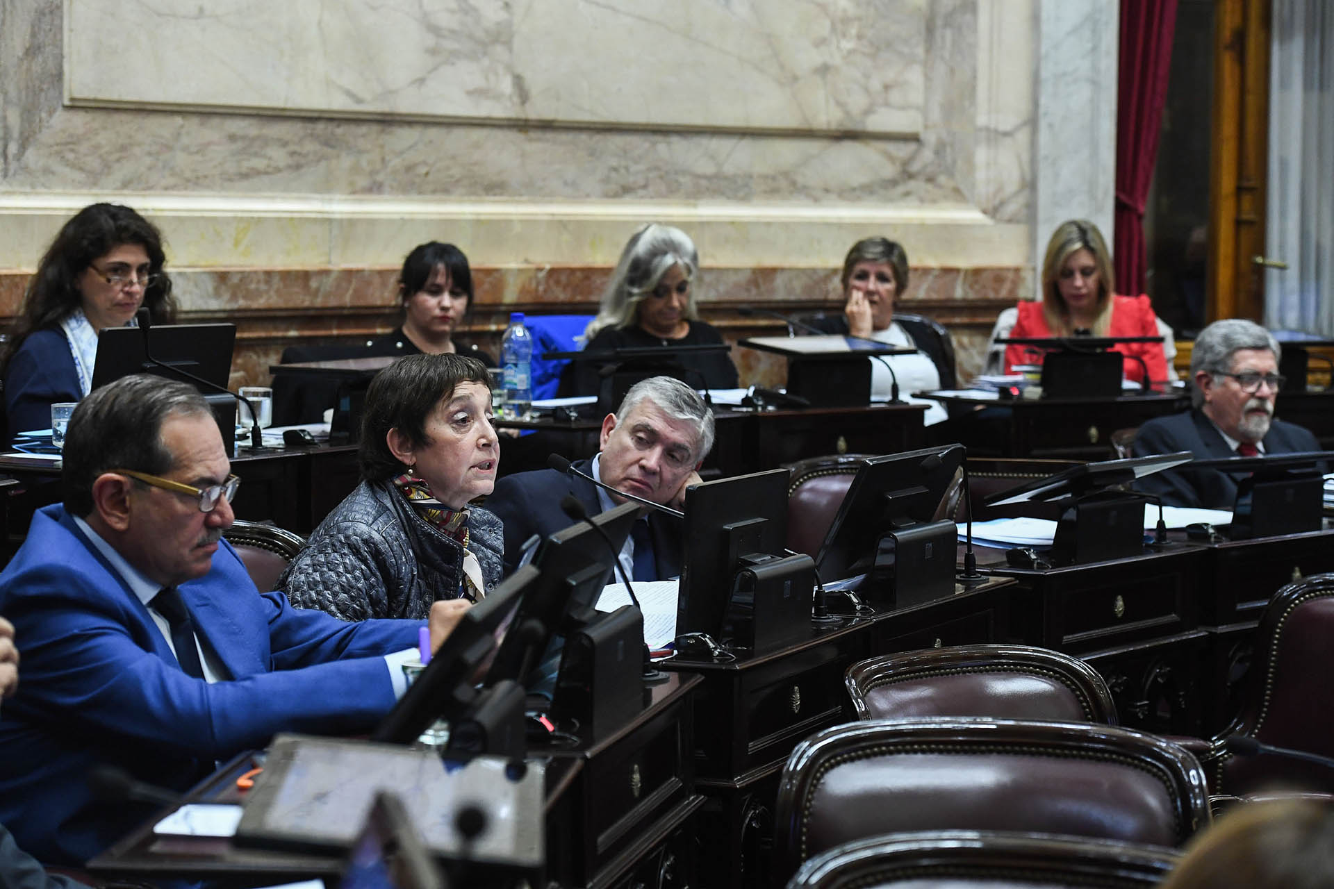 La senadora tucumana Beatriz Mirkin