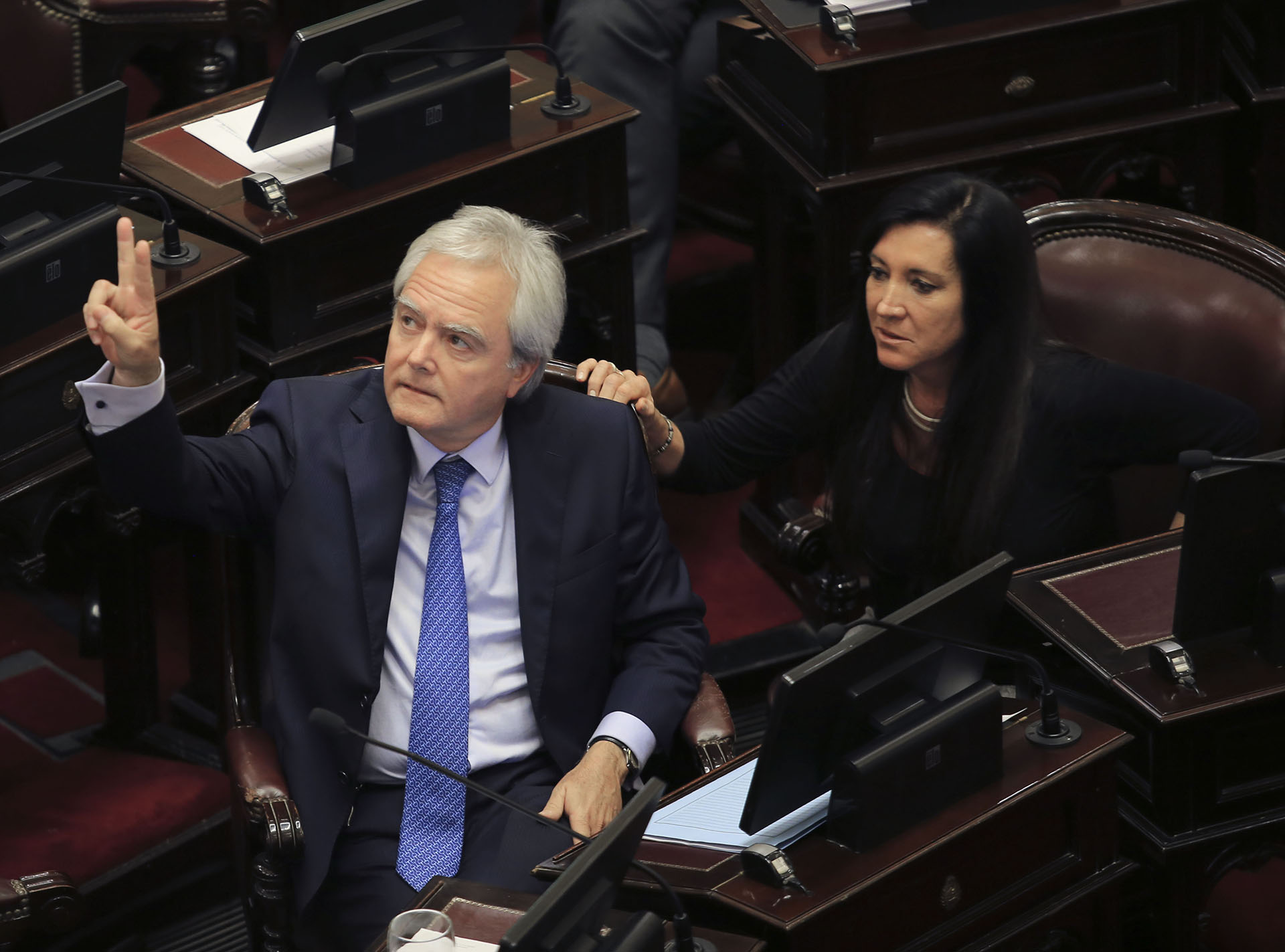 El senador Federico Pinedo, durante la sesion de la Cámara Alta donde se debate el proyecto de morigeracion de las tarifas de los servicios publicos.