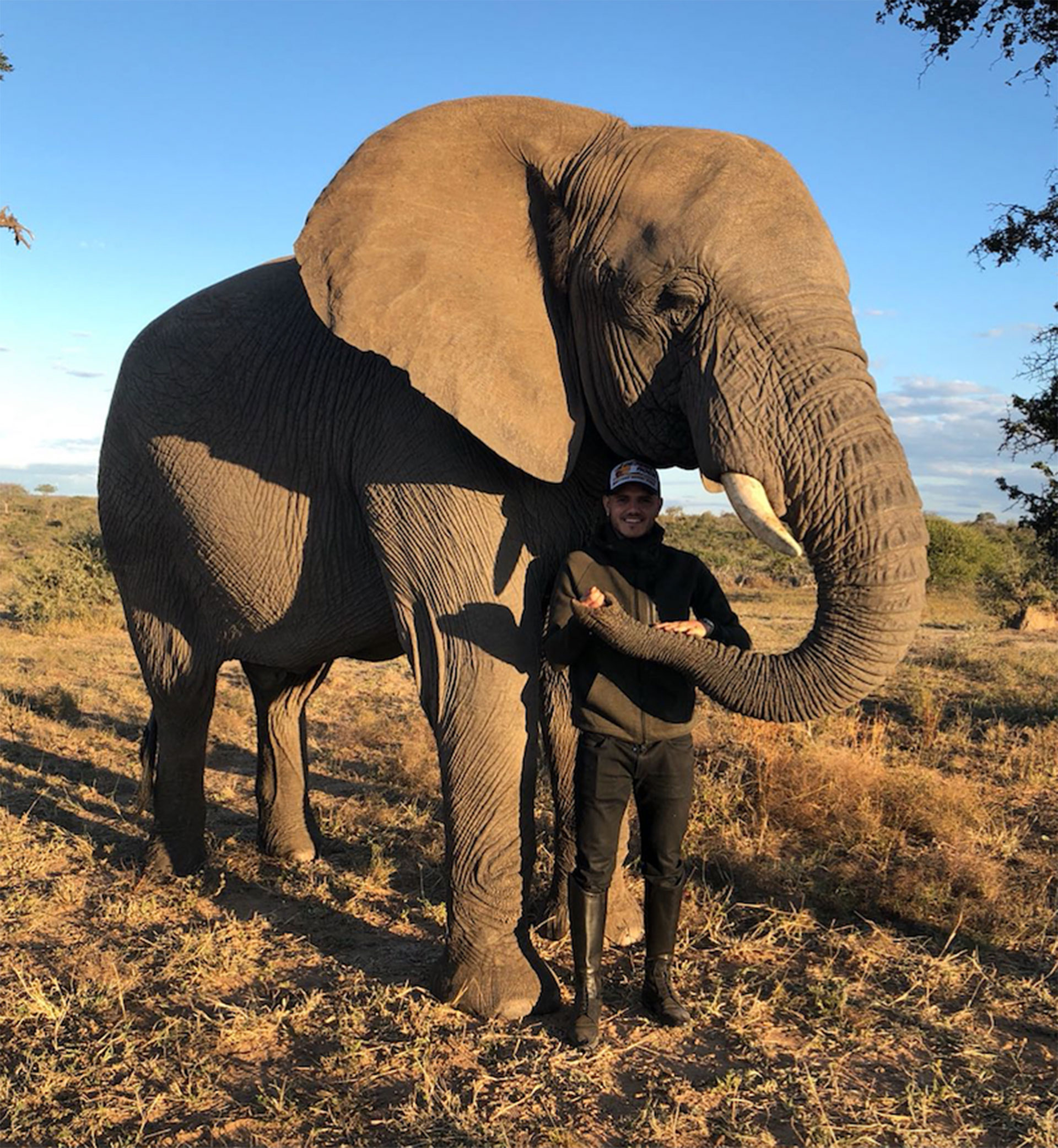 El goleador posando junto a un elefante (Foto: Instagram)