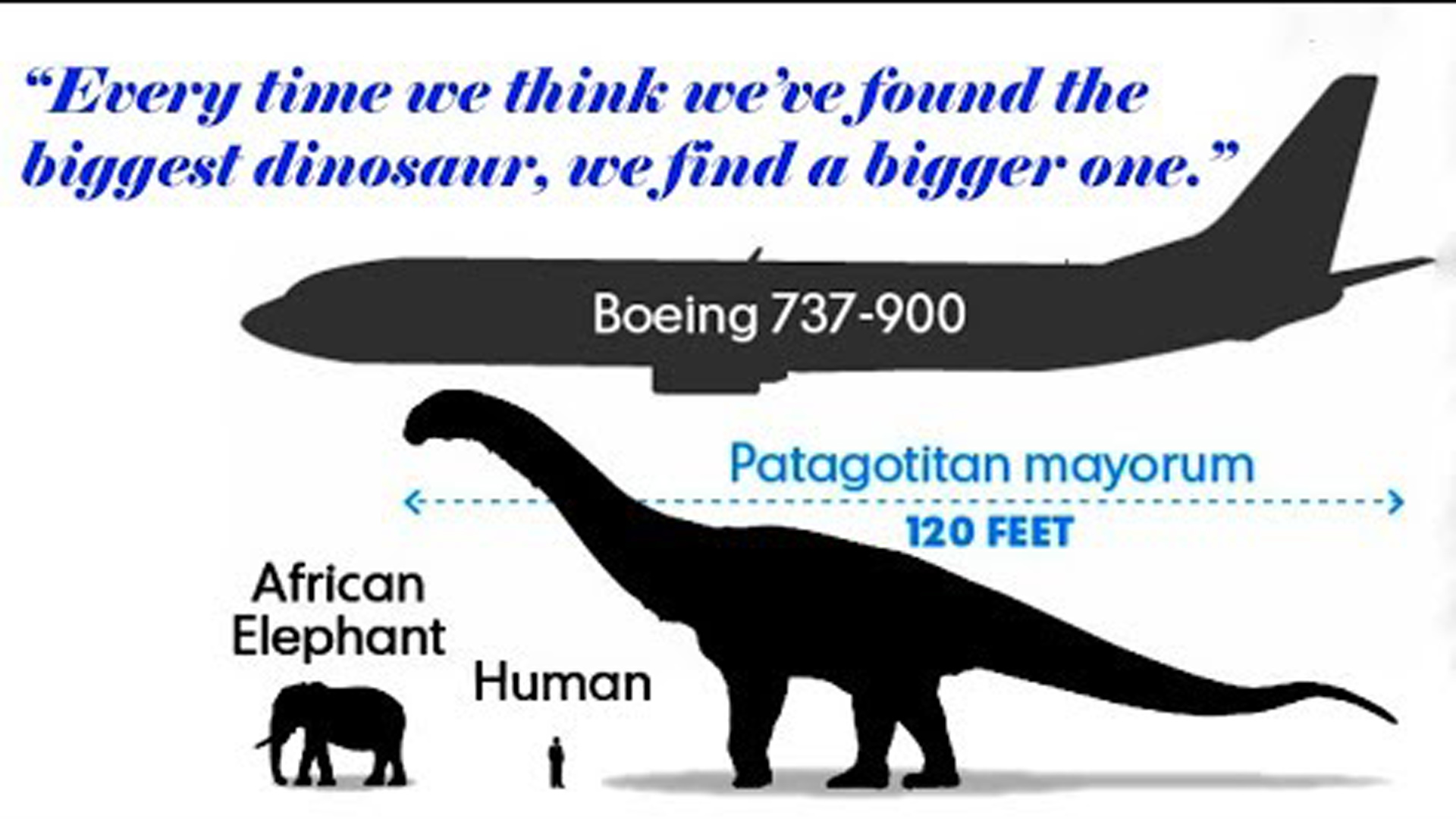 Las dimensiones de Patagotitan mayorum frente a un elefante y un avión Boeing 737