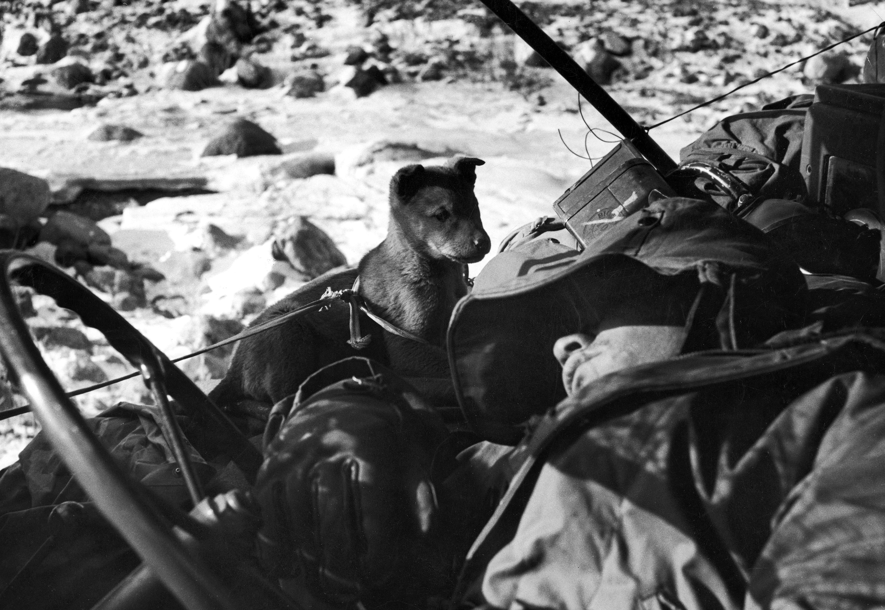Guerra de Corea