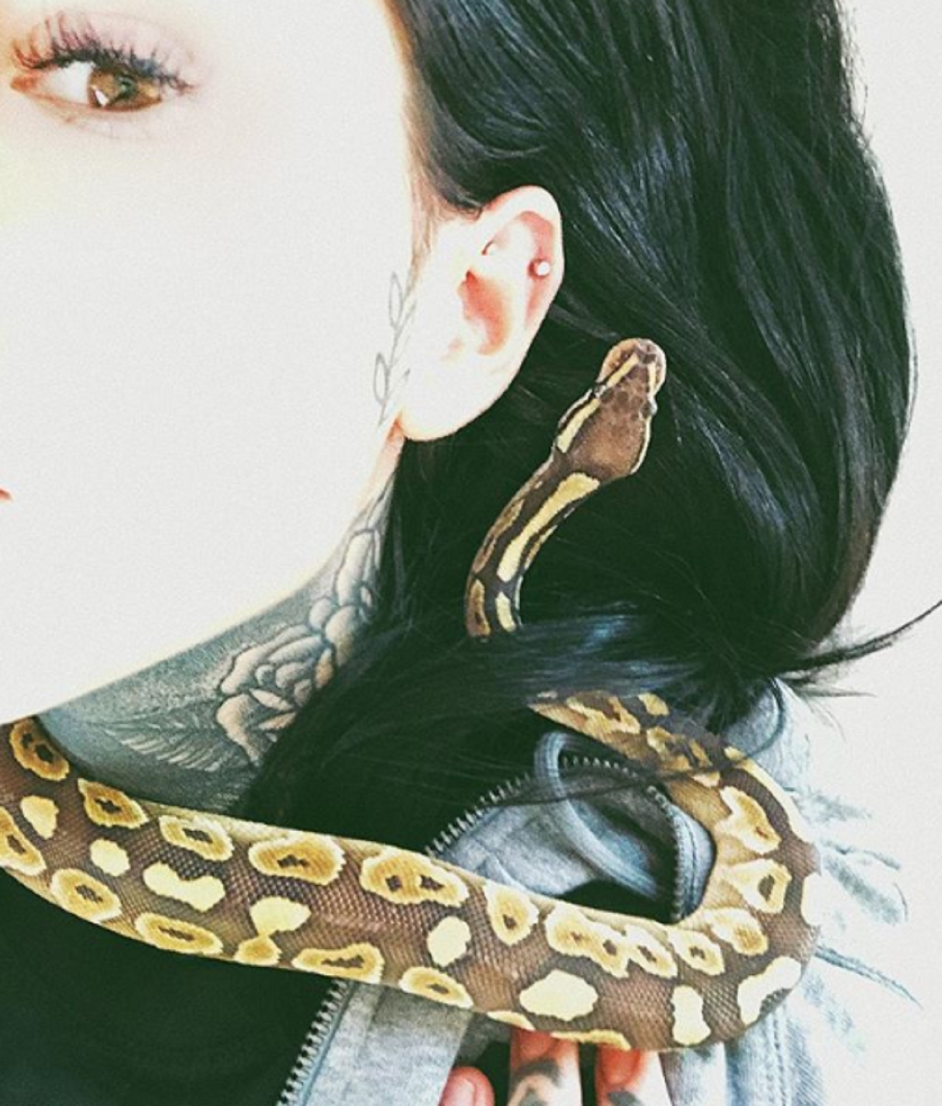 Cande Tinelli tiene un pequeña serpiente como su nueva mascota exótica. La hija del conductor de “ShowMatch” siempre sorprende con sus excentricidades
