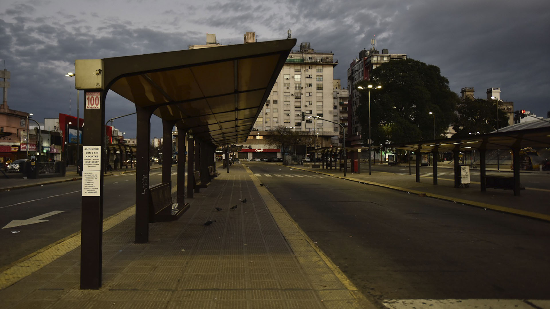 Constitución