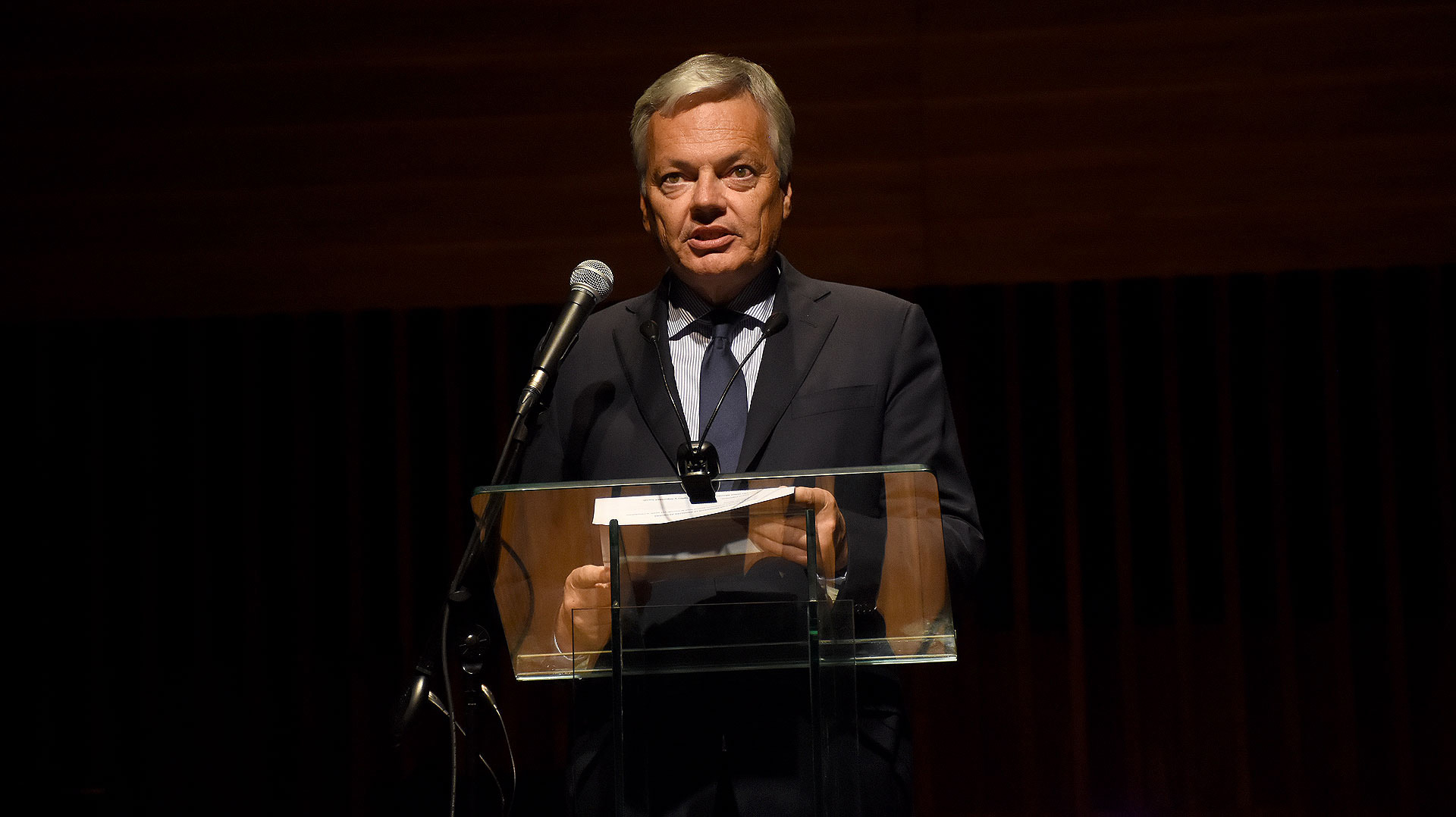 El discurso de Didier Reynders, viceprimer ministro Federal y ministro de Relaciones Exteriores y Asuntos Europeos