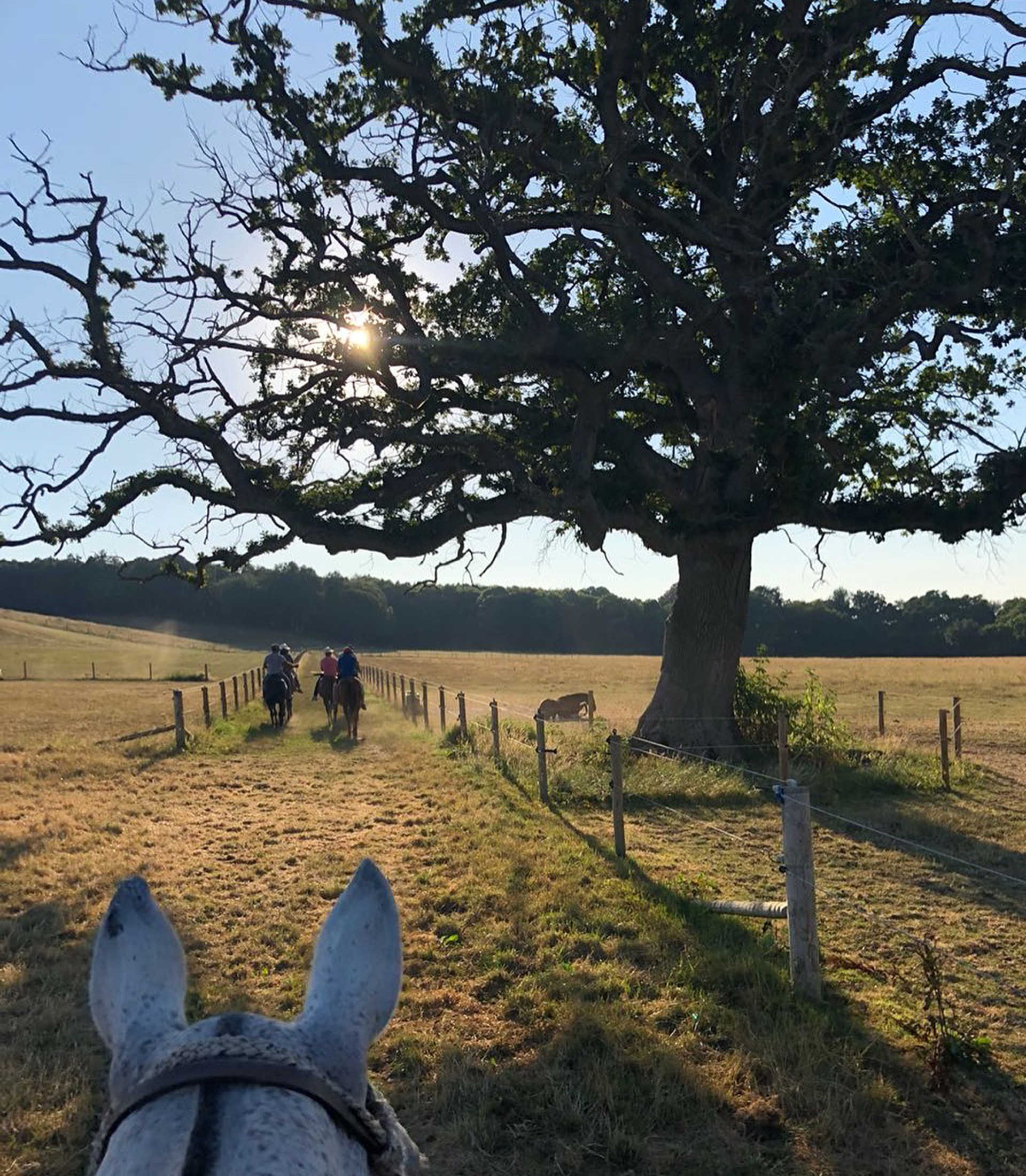 La infaltable y placentera cabalgata campestre en primera persona. (Fuente: Instagram)