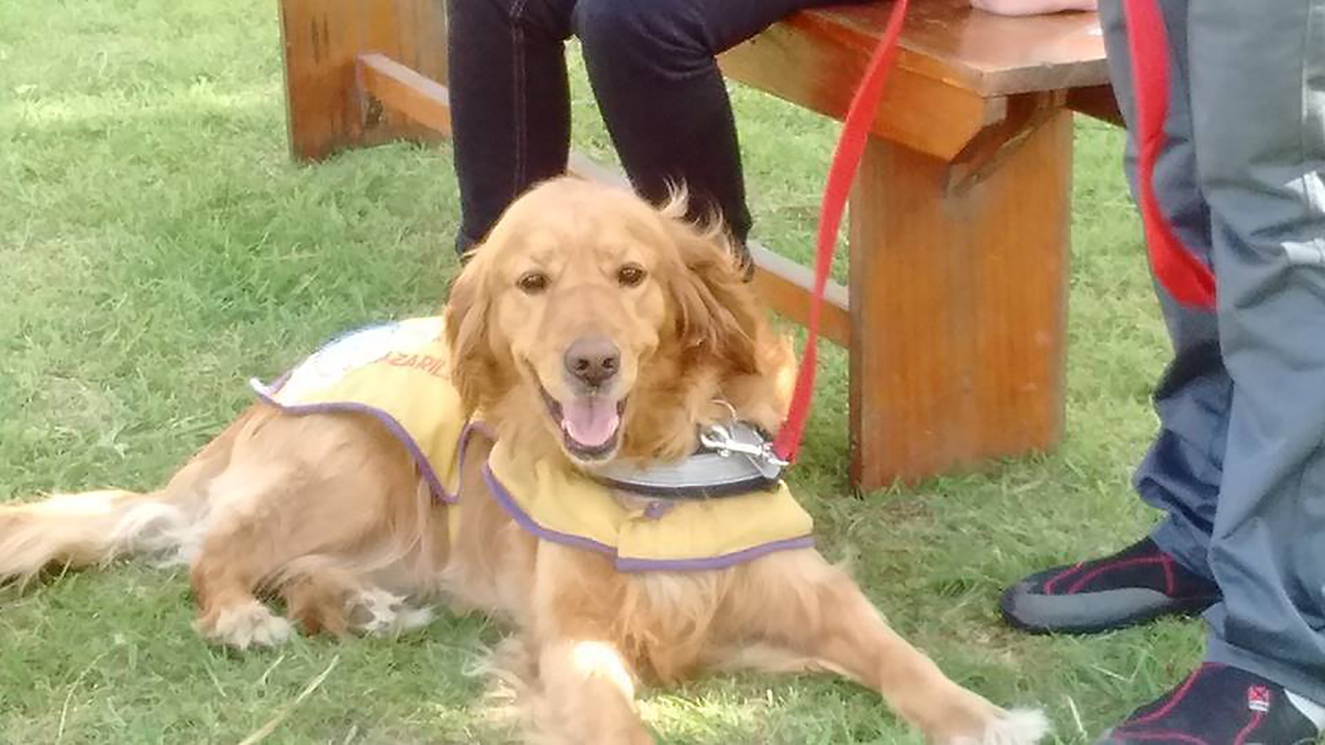 Canela se acercó a María Sol hace cinco años, se recostó en sus pies y desde entonces no se separó de ella (Facebook Perros guía)
