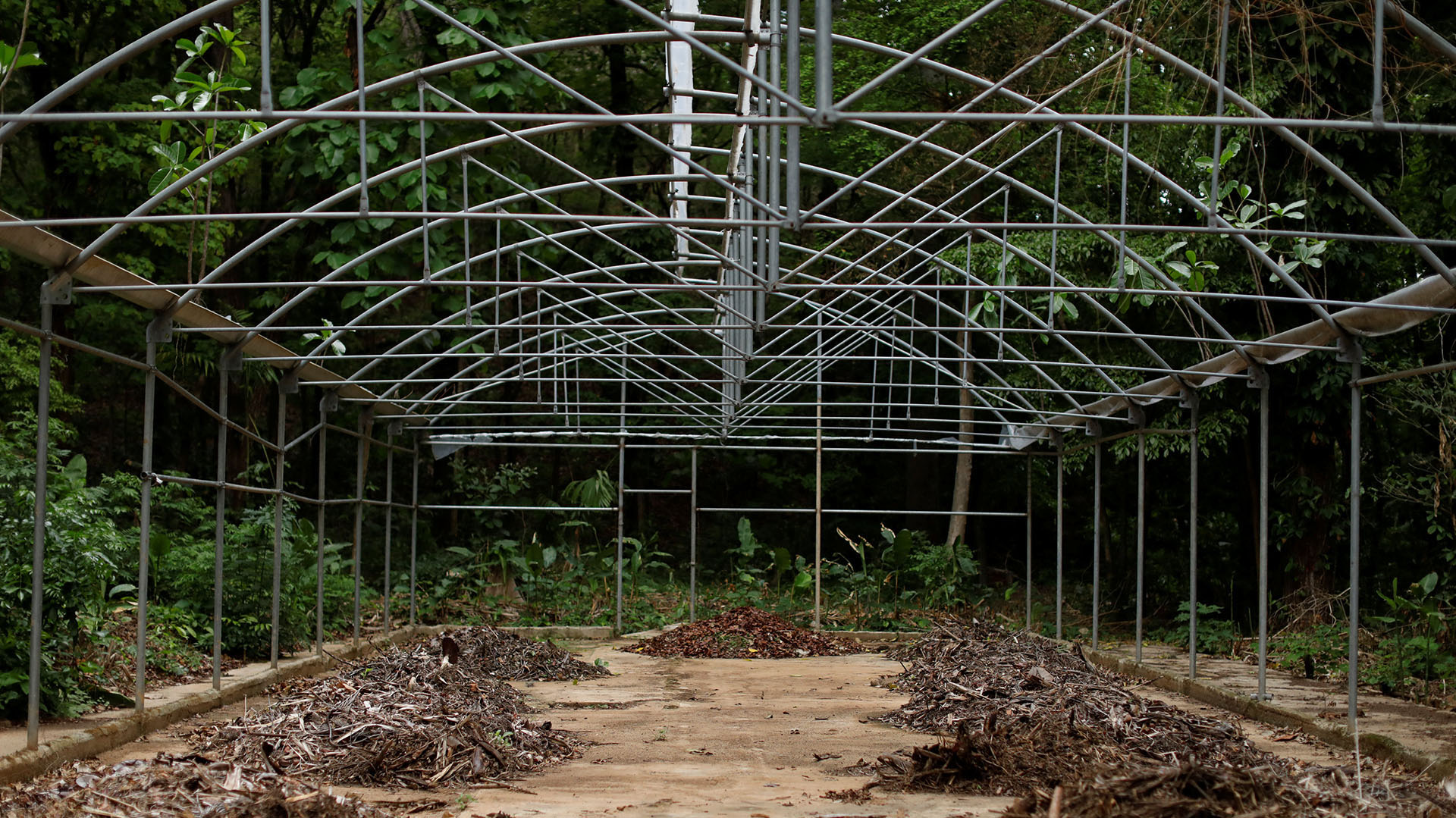 El año pasado, el parque perdió otra parte de las especies de sus viveros, cuando sus espacios quedaron sin protección y una ola de saqueos lo dejaron sin electricidad, computadoras, aires acondicionados, cables, y estructuras que servían de residencias y oficinas para los trabajadores