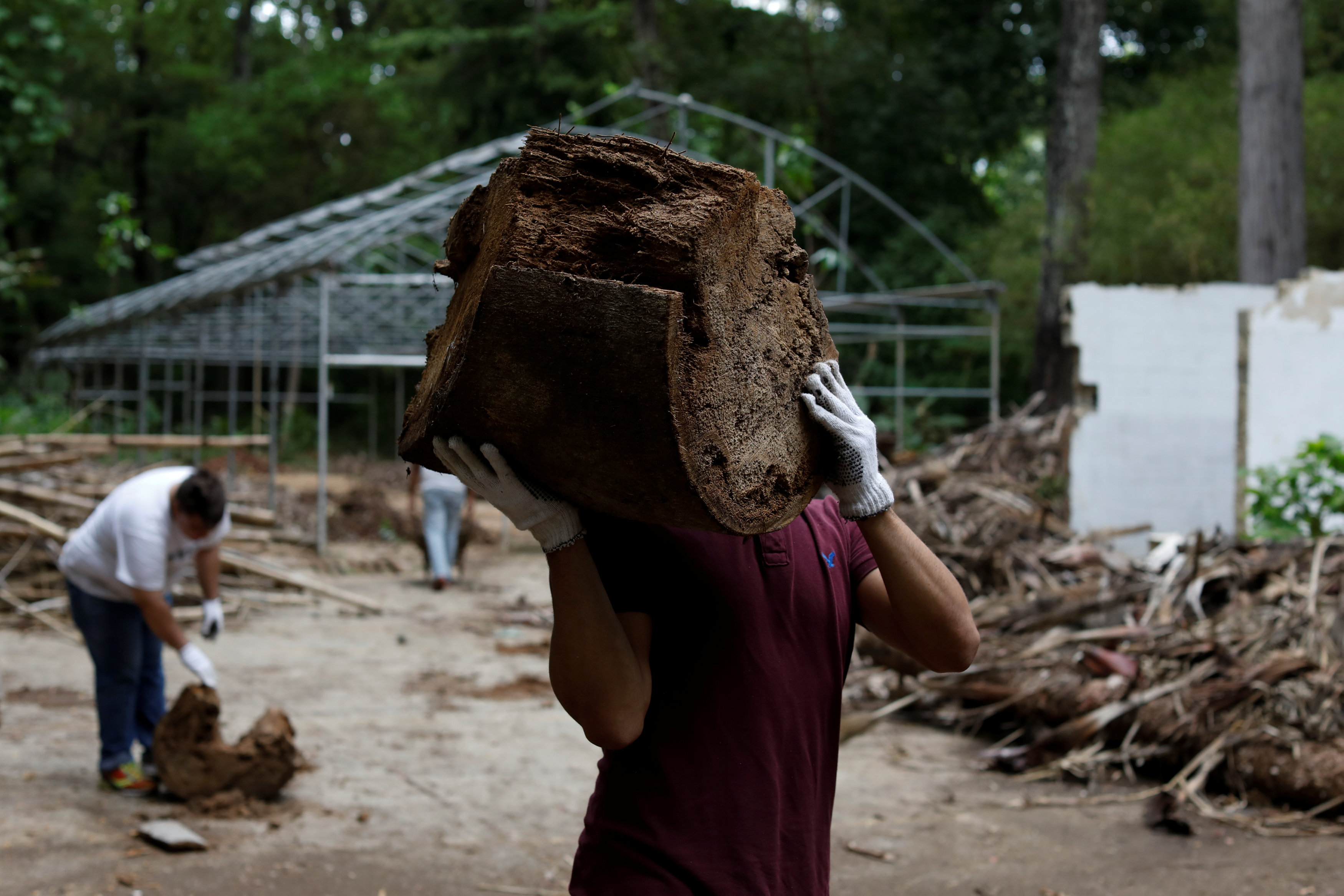 Voluntarios intentan darle mantenimiento al lugar