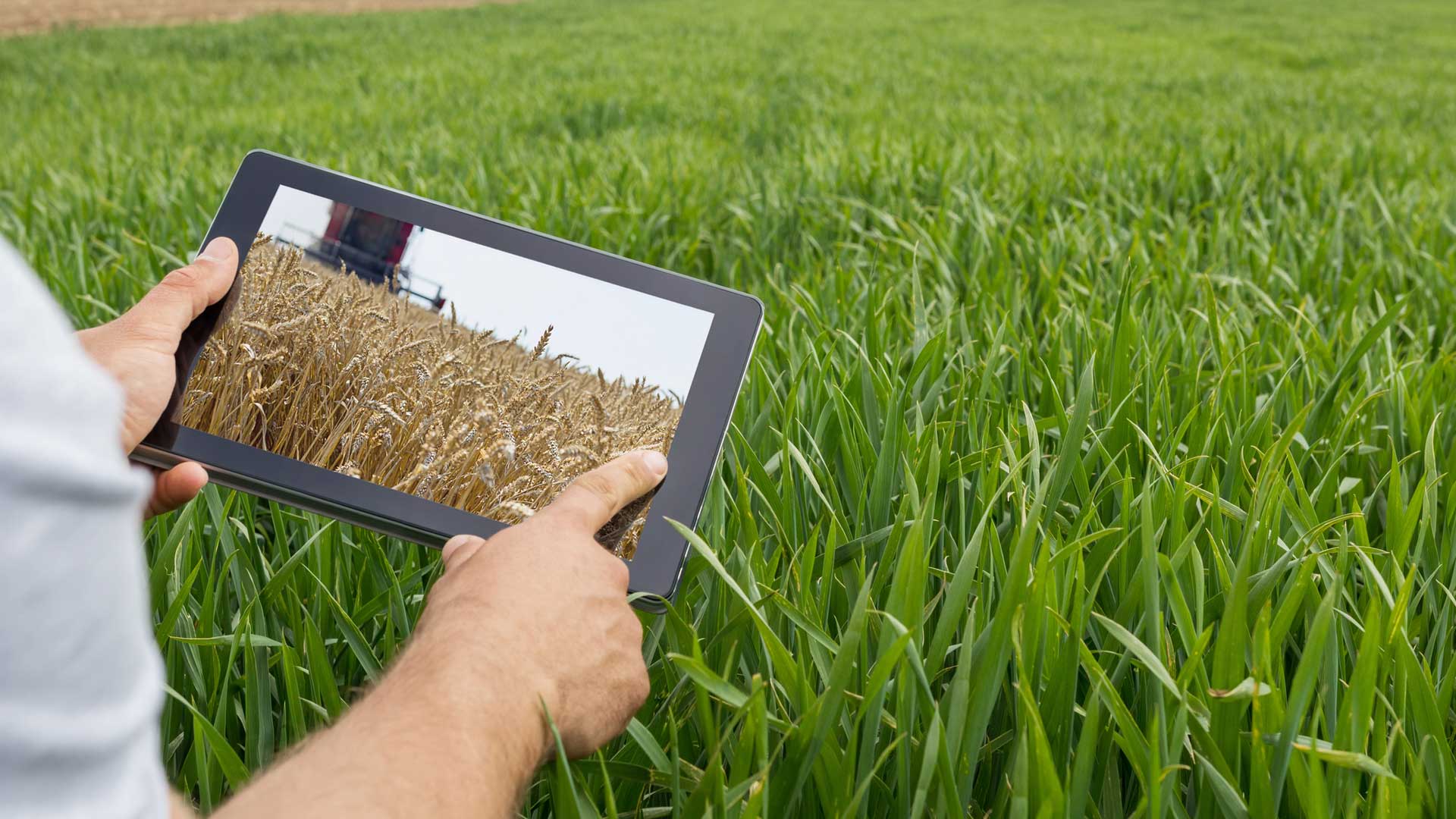 El encuentro AgTech “Semillas para nuestro futuro” busca potenciar el “Agro 4.0” en nuestro país.