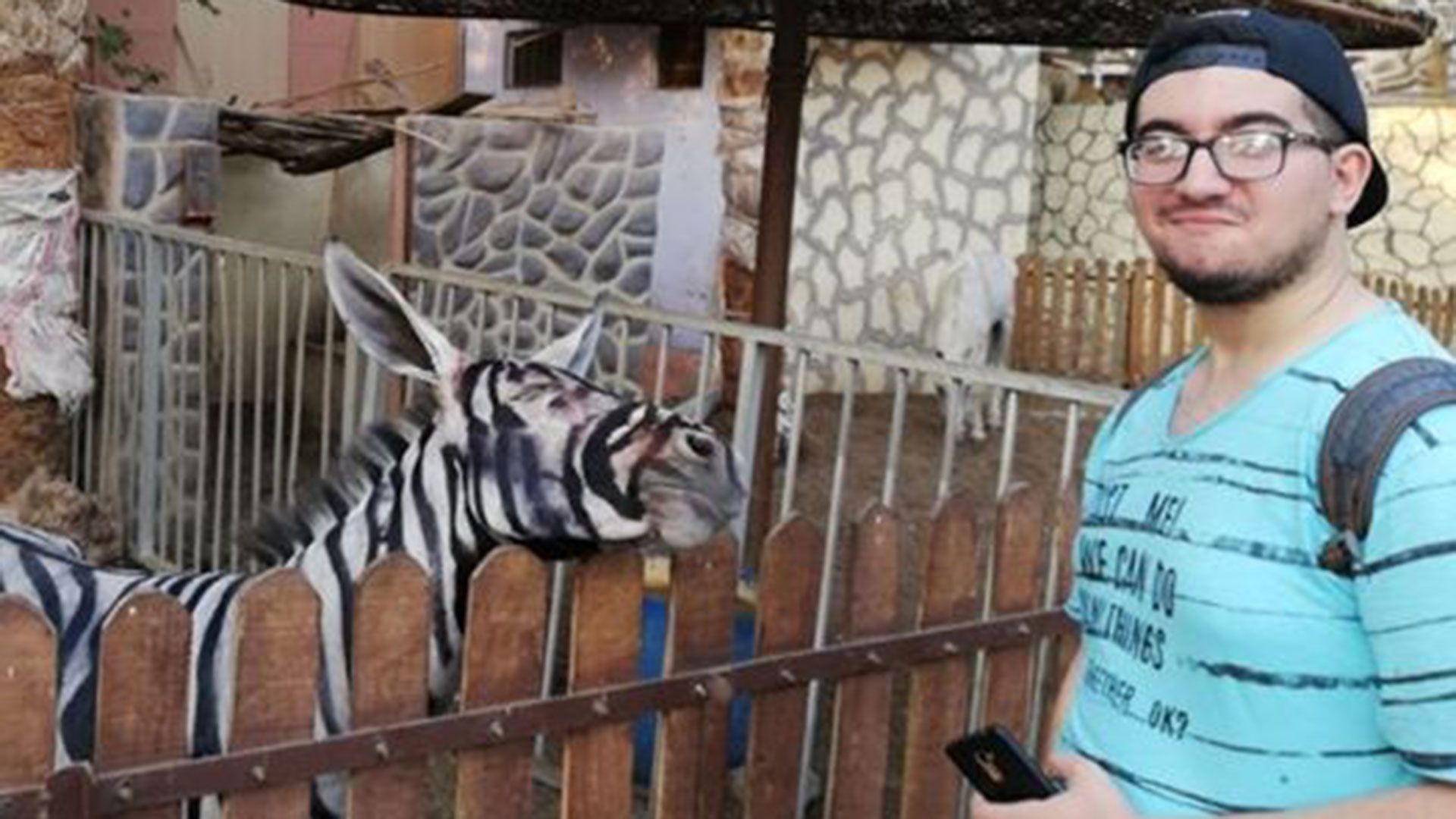 Mahmoud Sarhan difundió las fotos de los animales