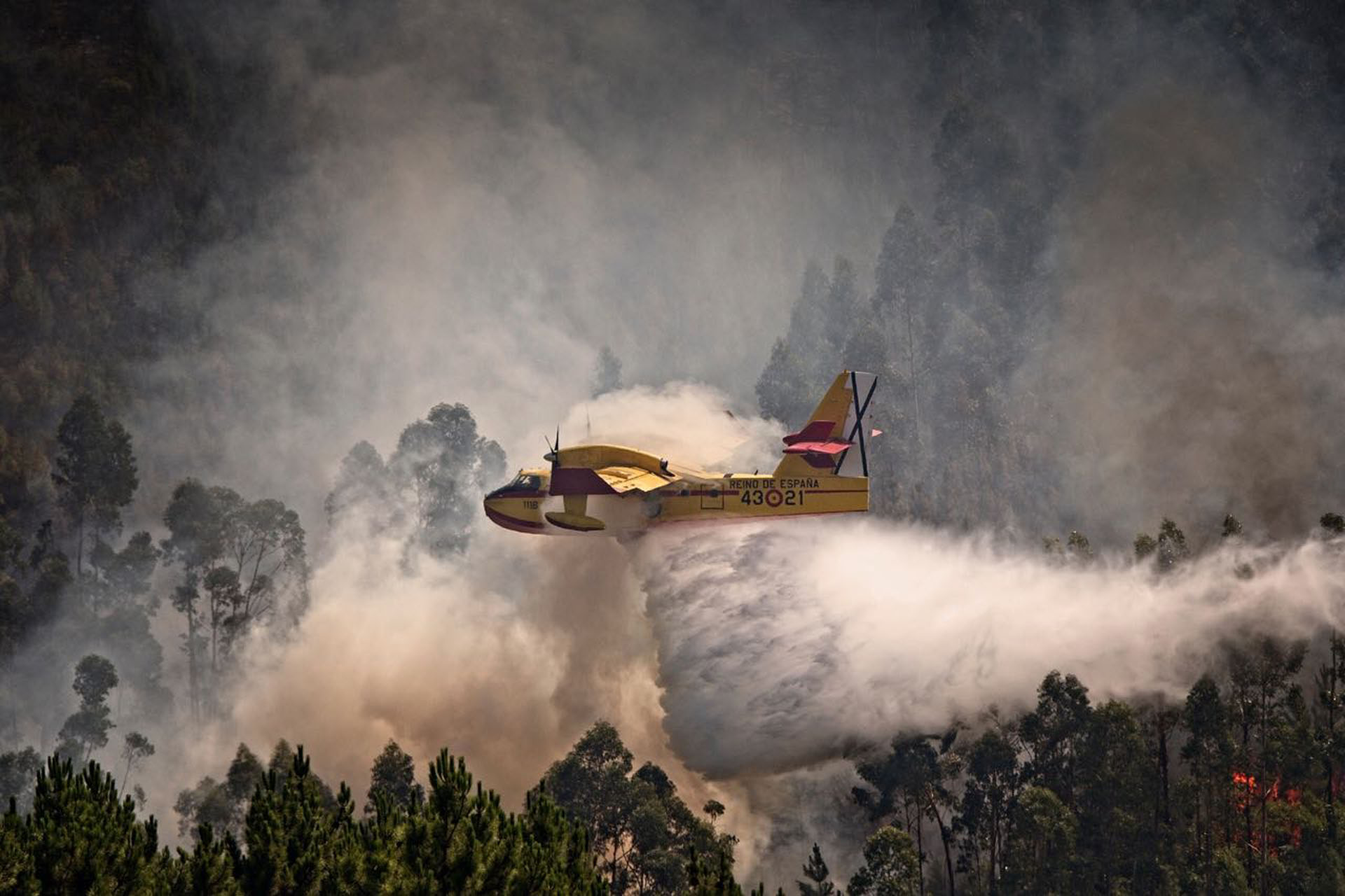 Avion Hidrante (Foto de Horacio Villalobos)