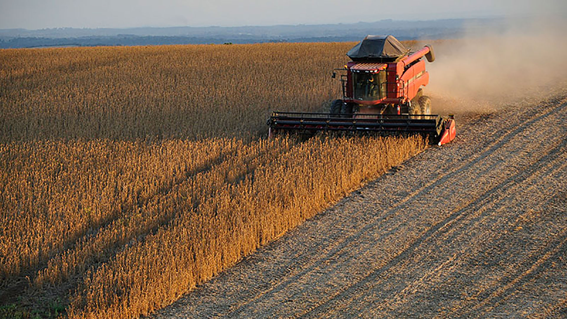 El sector agrícola estadounidense es uno de los más afectados por la guerra comercial
