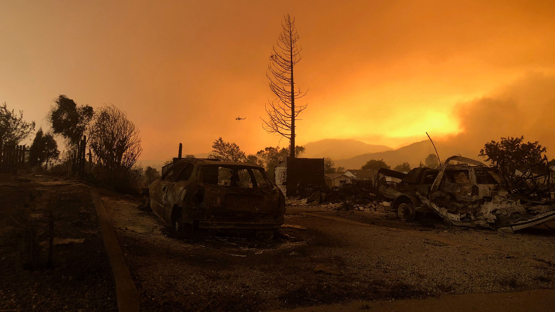 Los incendios forestales también pueden ser objeto de estudio, pues a partir de la detección de partículas orgánicas como macrorrestos de carbón se pueden reconstruir incendios e indagar sus causas
