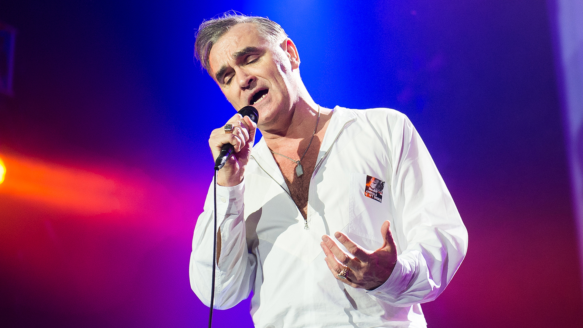 Morrissey regresará a América del Norte y Sudamérica