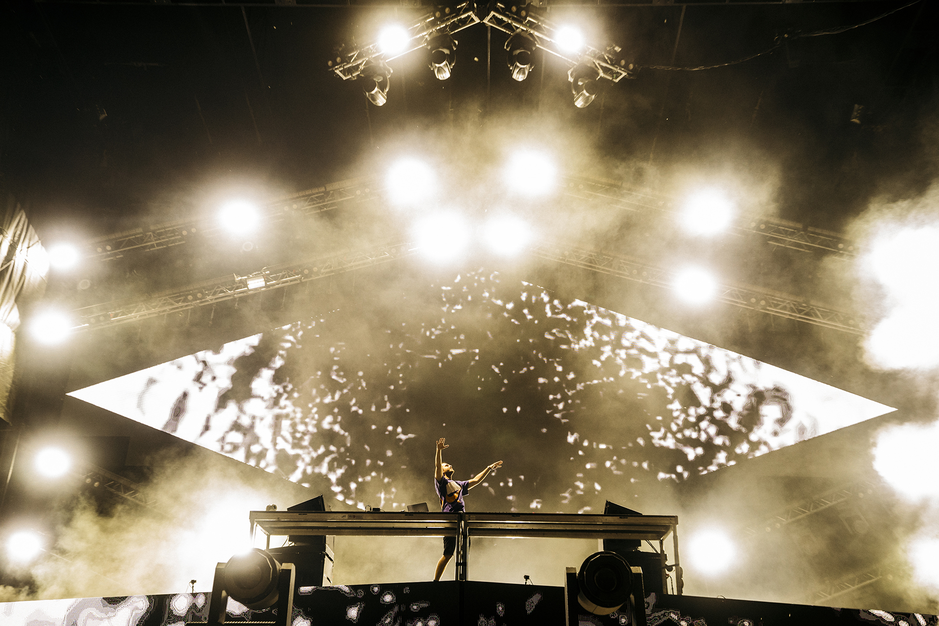 Zedd, en trance.