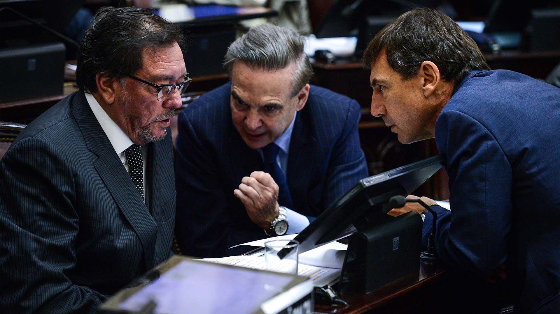 Tres senadores a favor del aborto legal: Pedro Guastavino, Miguel Pichetto y Luis Naidenoff