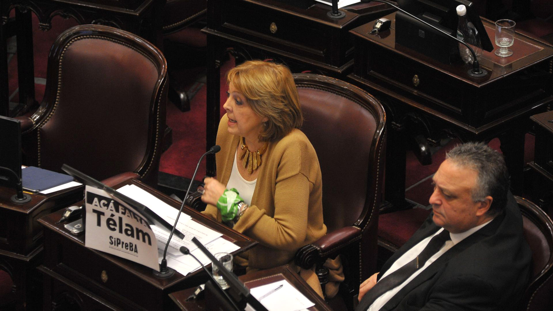 Los senadores de La Pampa Norma Durango y Daniel Lovera