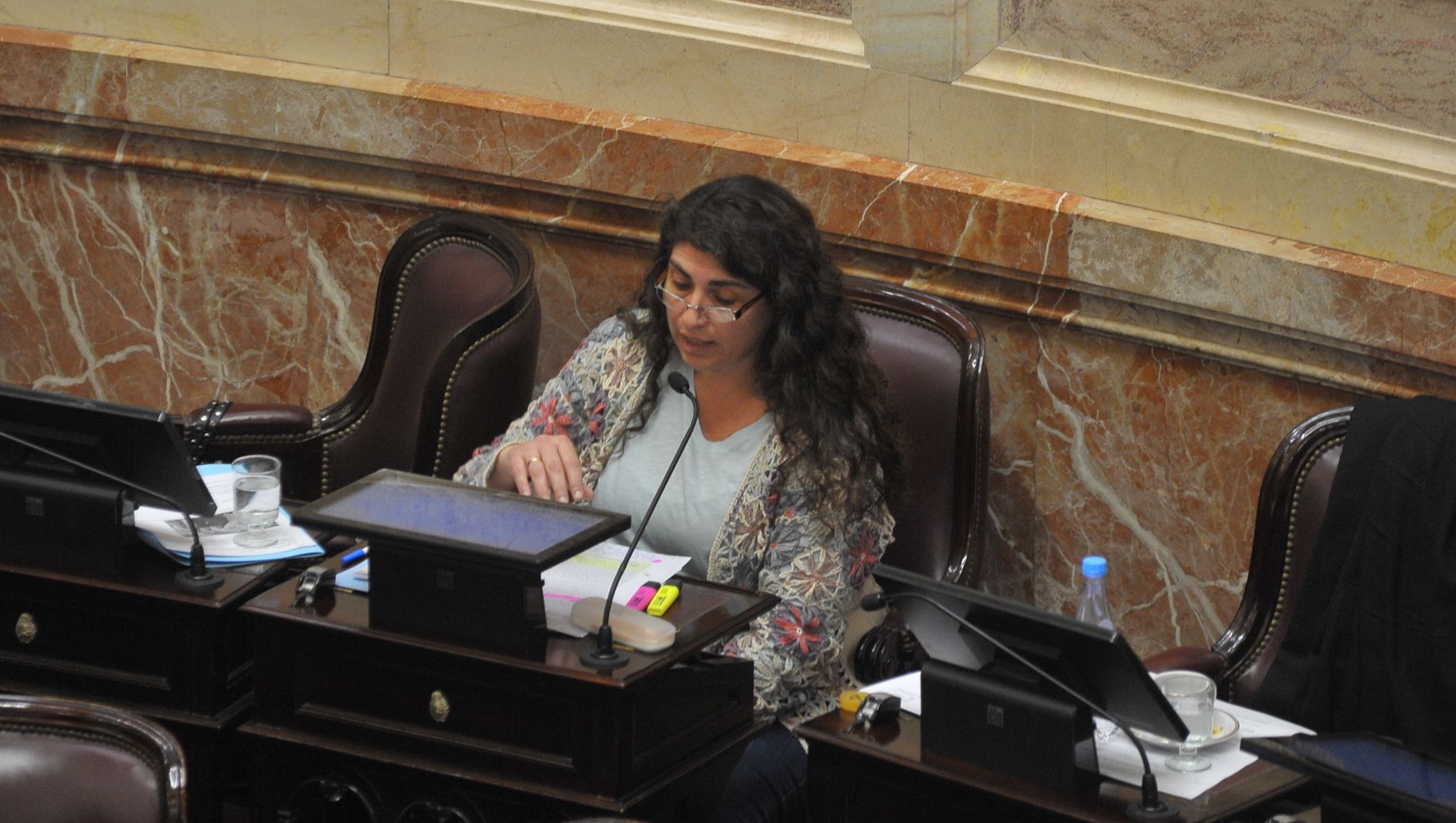 La senadora del bloque Frente para la Victoria – PJ Ana Ianni
