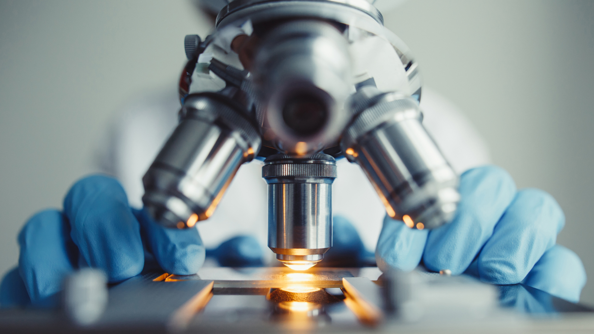 La nueva edición del evento más importante de la biotecnología argentina tendrá lugar el 13 de noviembre.