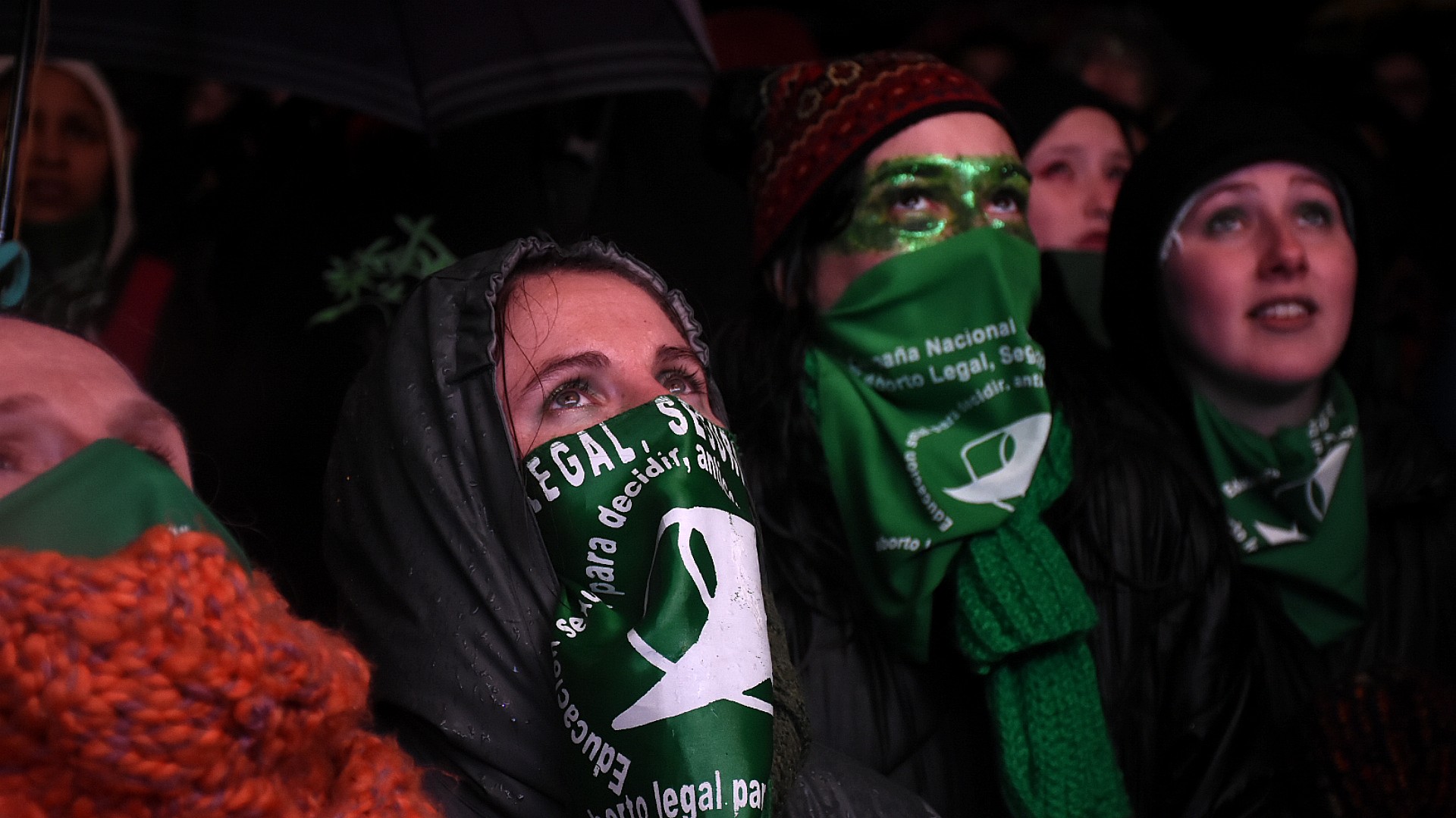 Movilización en el Congreso, agosto de 2018 (Foto: Nicolás Stulberg)