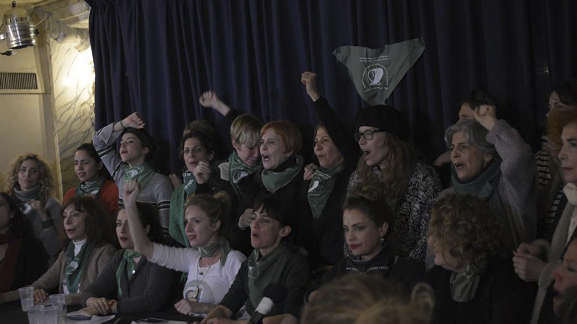 Muchas actrices se juntaron en el Congreso por la votación del proyecto de ley de la legalización del aborto en el Senado. Aunque fue rechazado, dijeron que seguirán luchando (Franco Fafasuli)