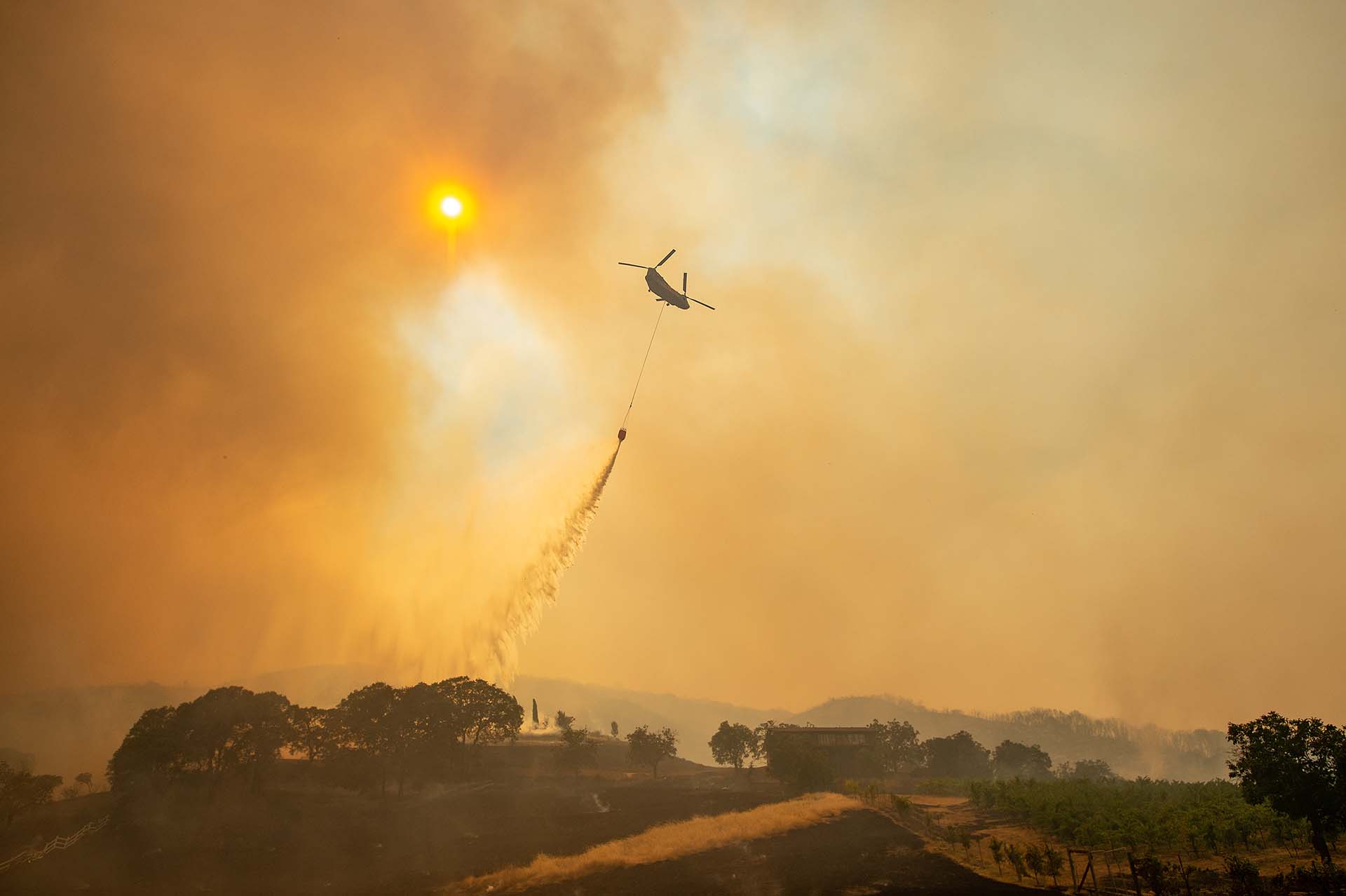 Fotos: AP y AFP