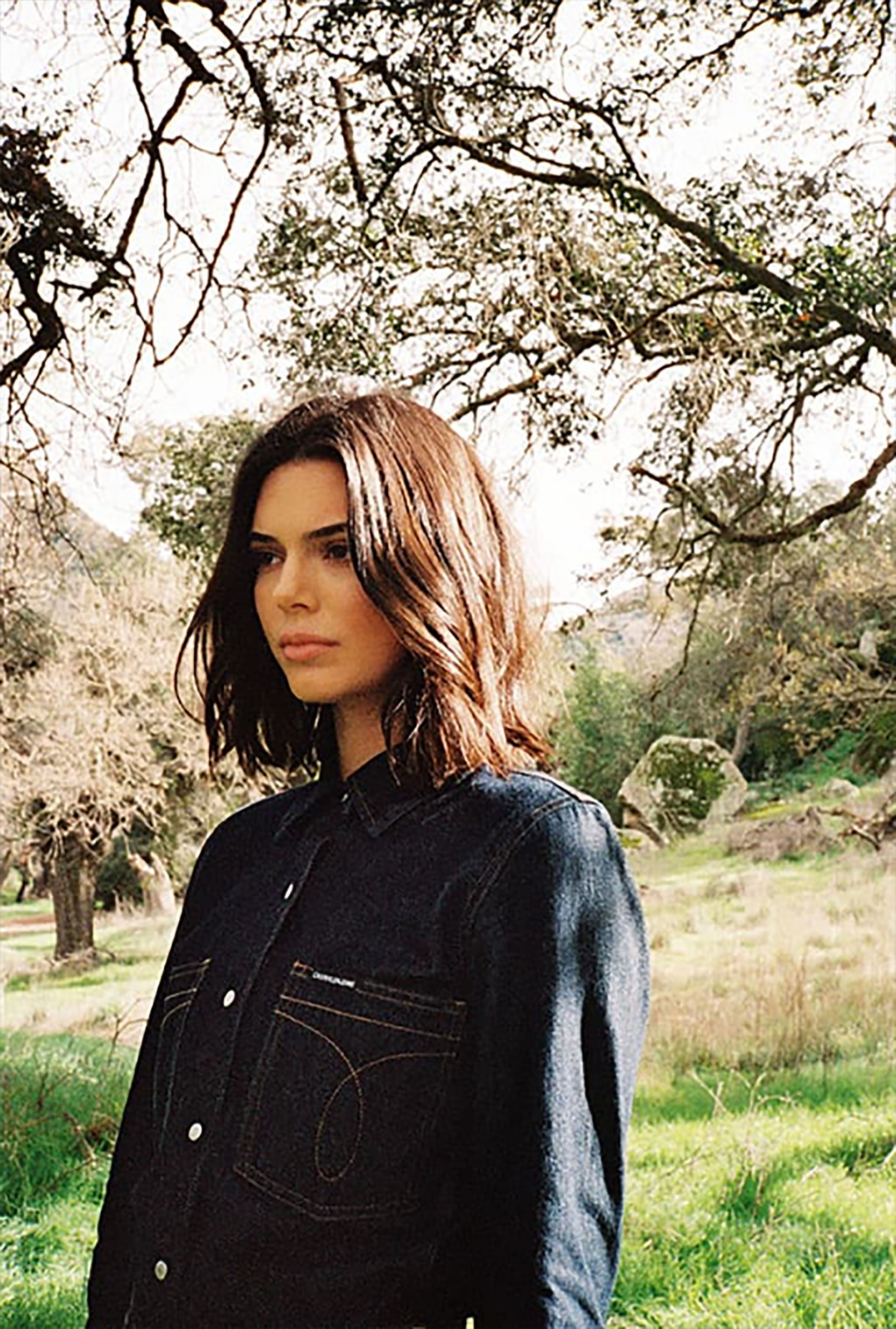 Kendall Jenner, a diferencia de sus hermanas, no posó en ropa interior, solamente mostró el conjunto denim